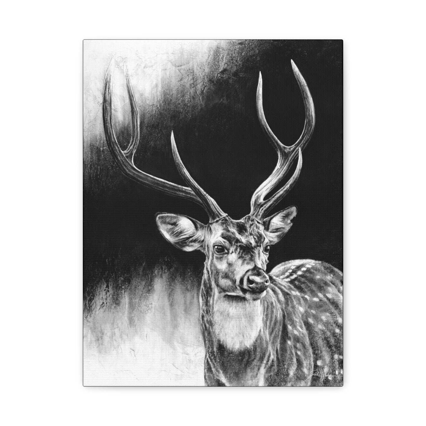 "Axis Buck" Stretched Canvas