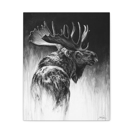 "Bull Moose" Stretched Canvas