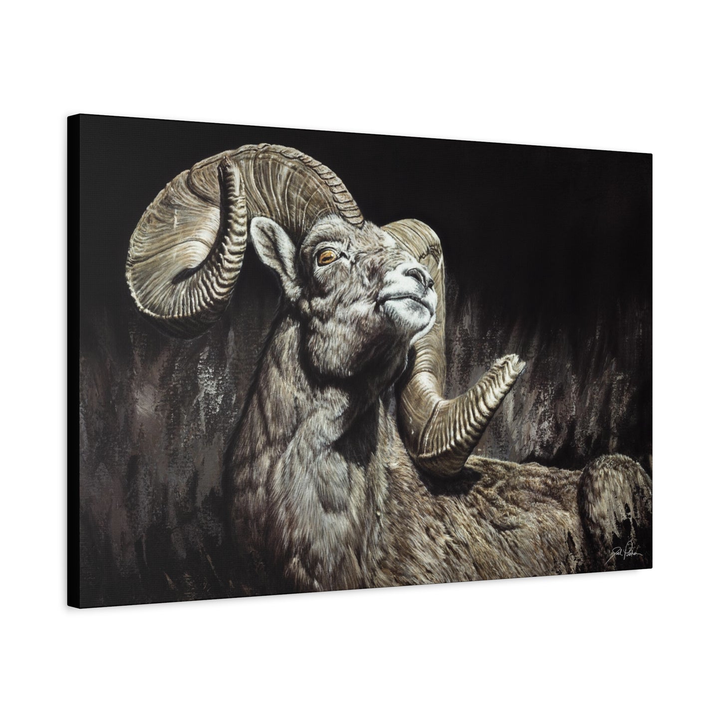 "Golden Eye" Stretched Canvas