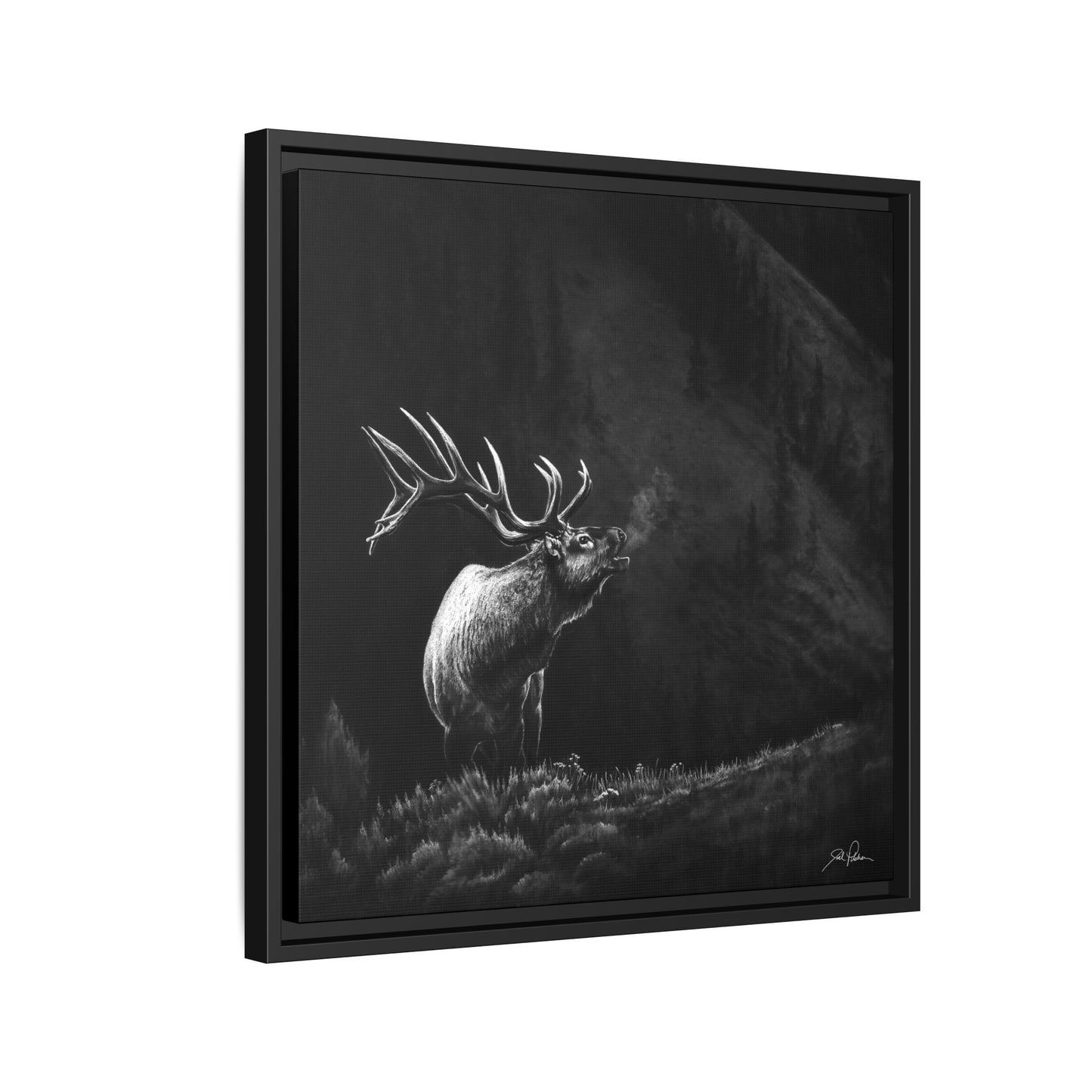 "Mountain Monarch" Framed Canvas