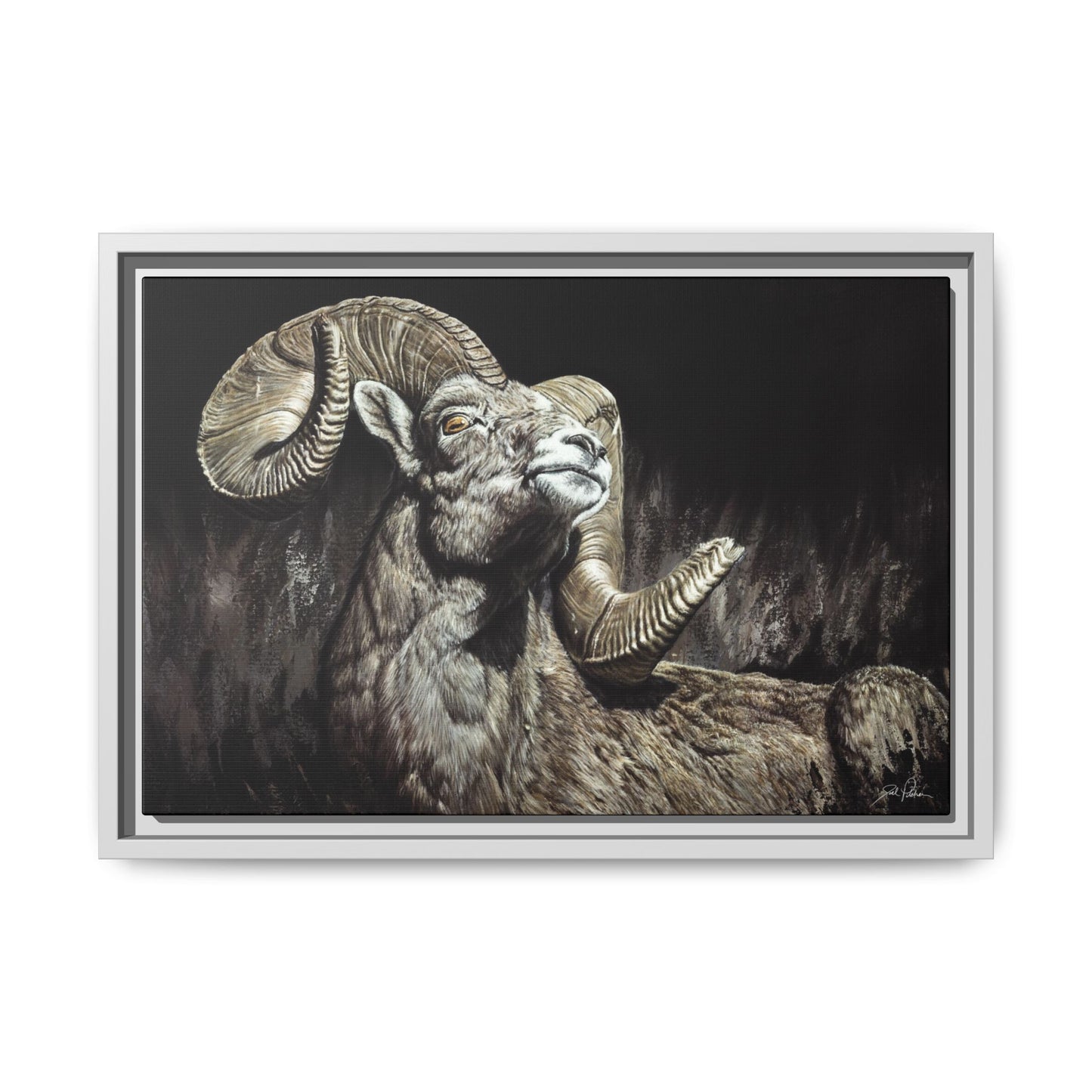 "Golden Eye" Framed Canvas