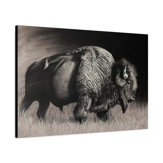 "Into the Storm" Stretched Canvas