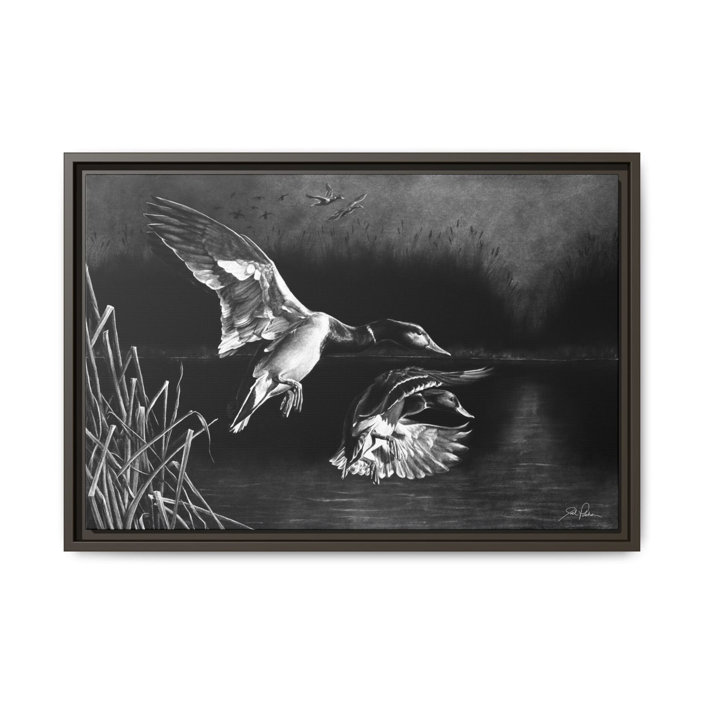 "Banded Brothers" Framed Canvas