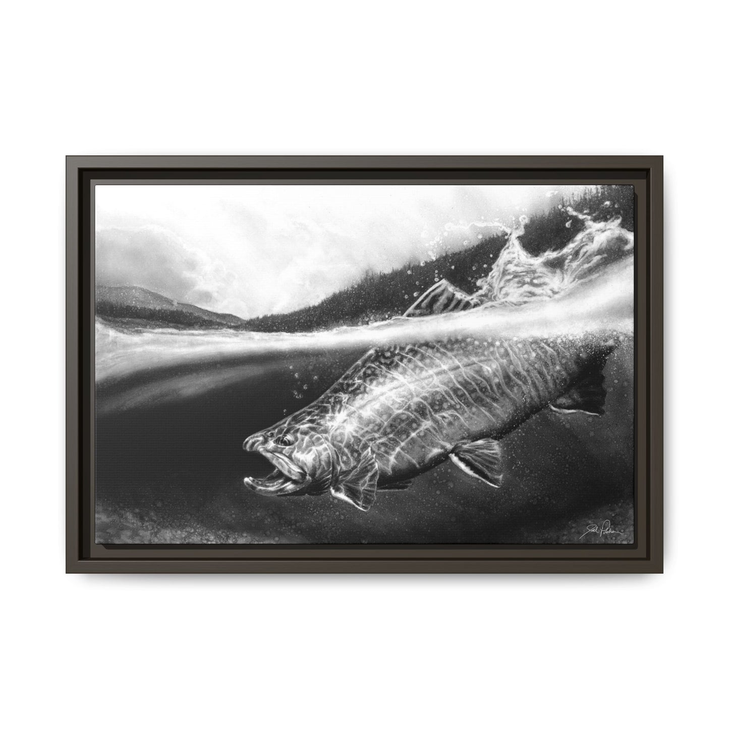 "Brook Trout" Framed Canvas