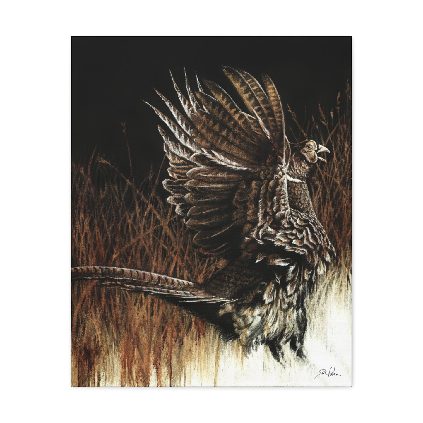 "Call of the Upland Pheasant" Stretched Canvas
