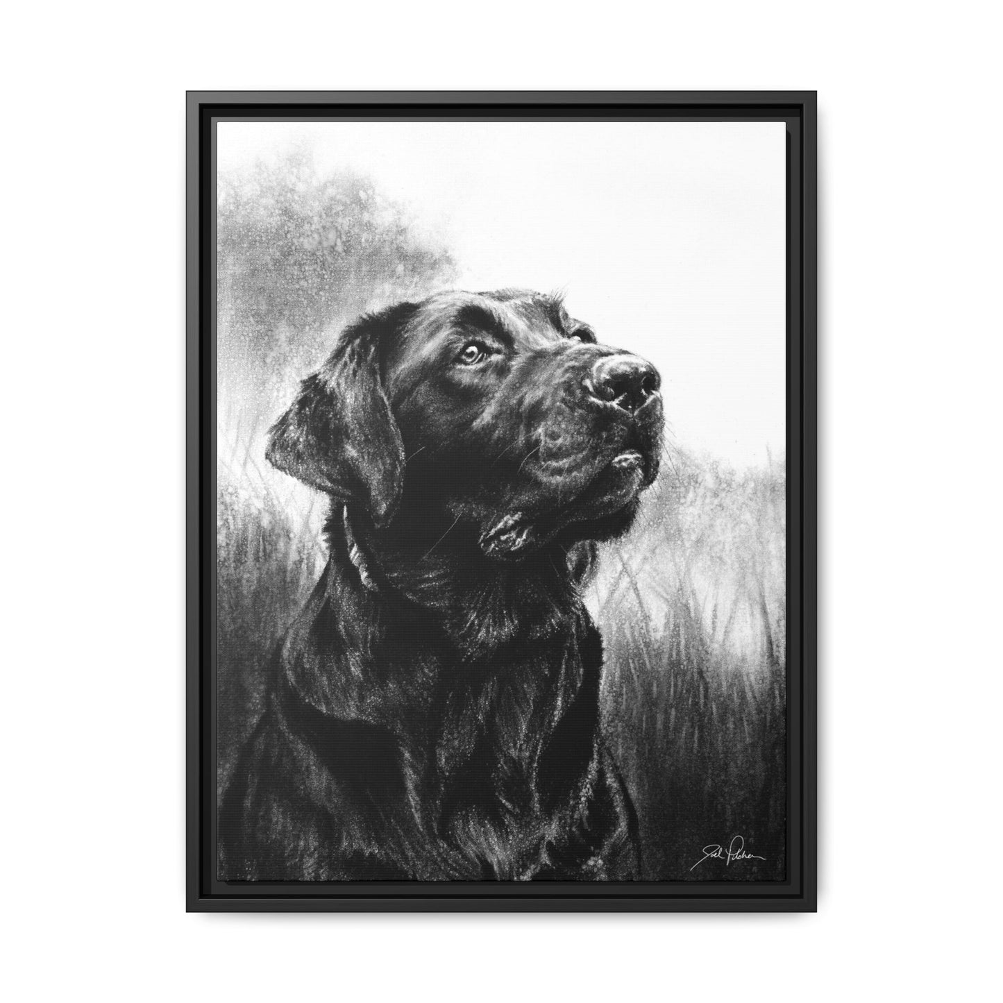 "Labrador Retriever" Framed Canvas