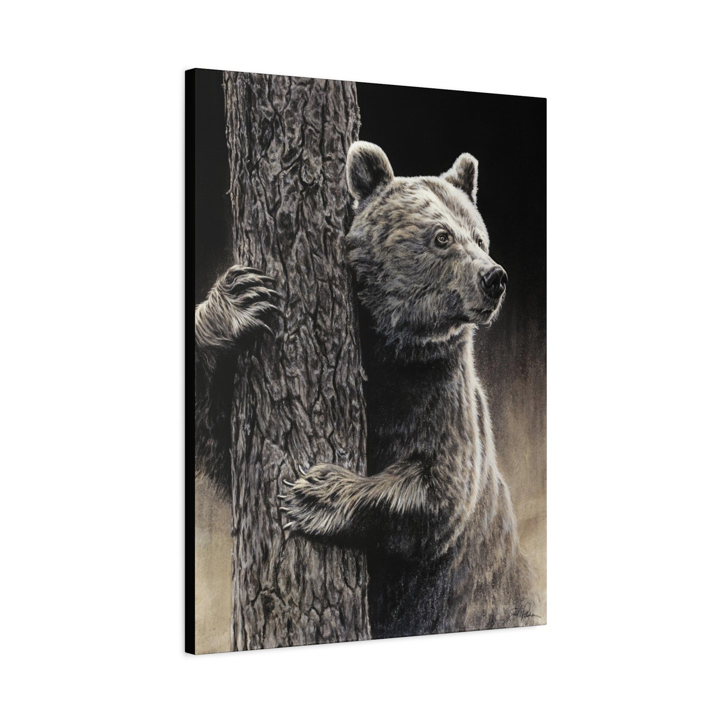 "Bear Hug" Stretched Canvas