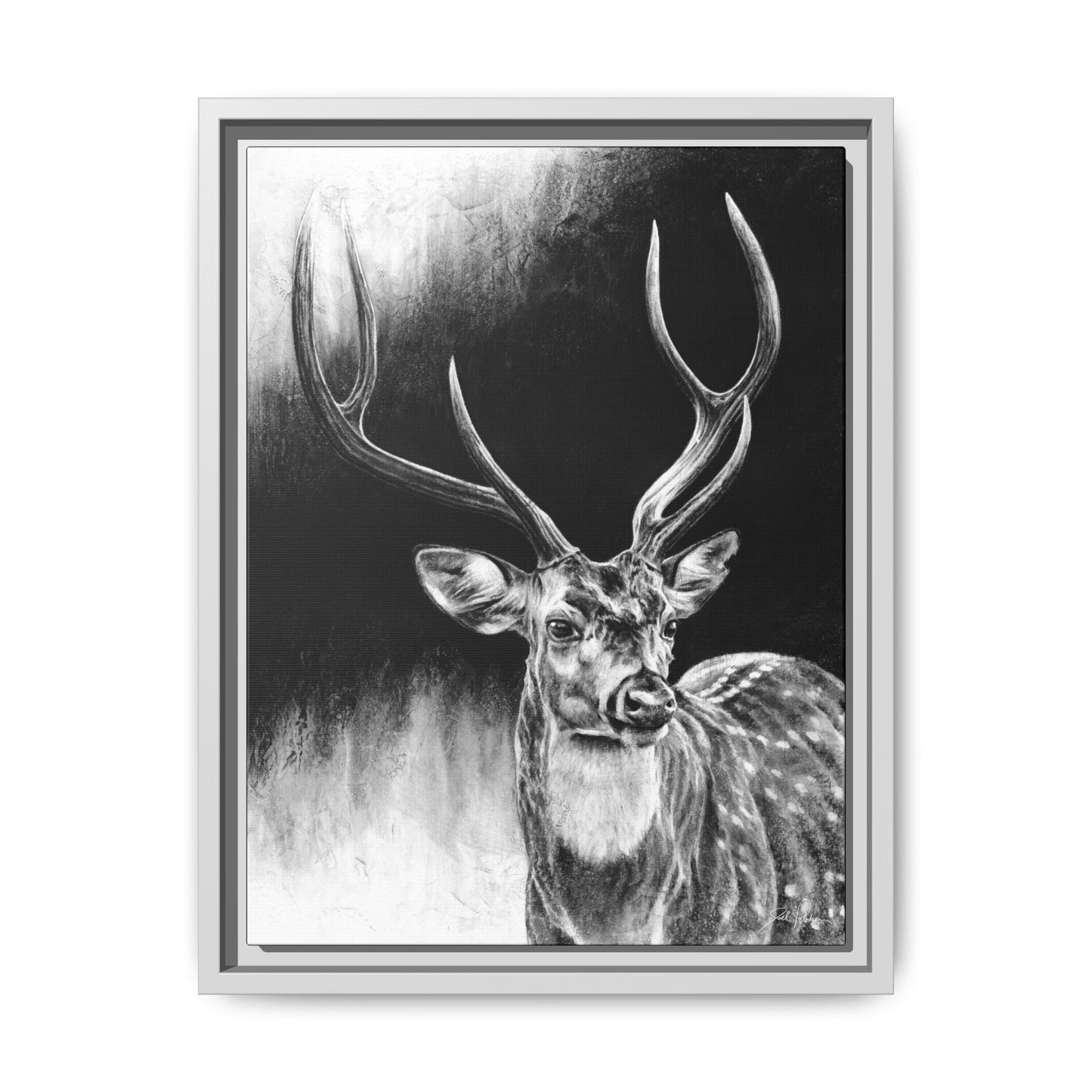 "Axis Buck" Framed Canvas
