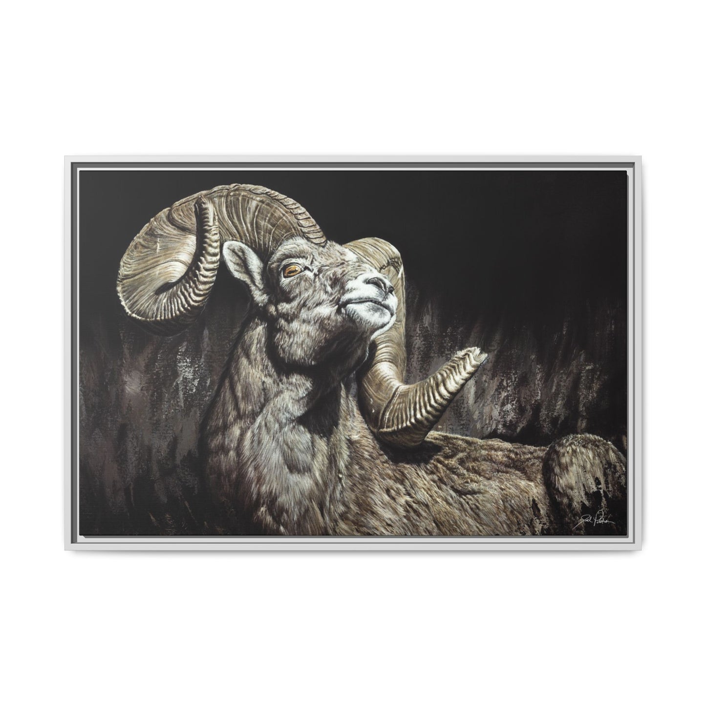 "Golden Eye" Framed Canvas