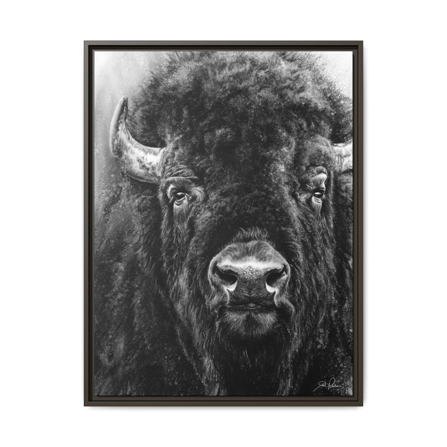 "Tatanka" Framed Canvas