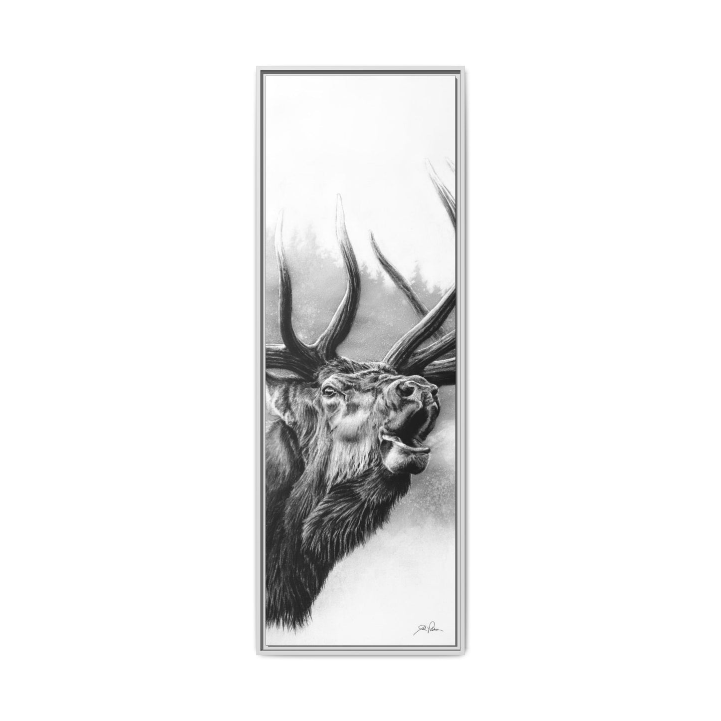 "Rocky Mountain King" Framed Canvas