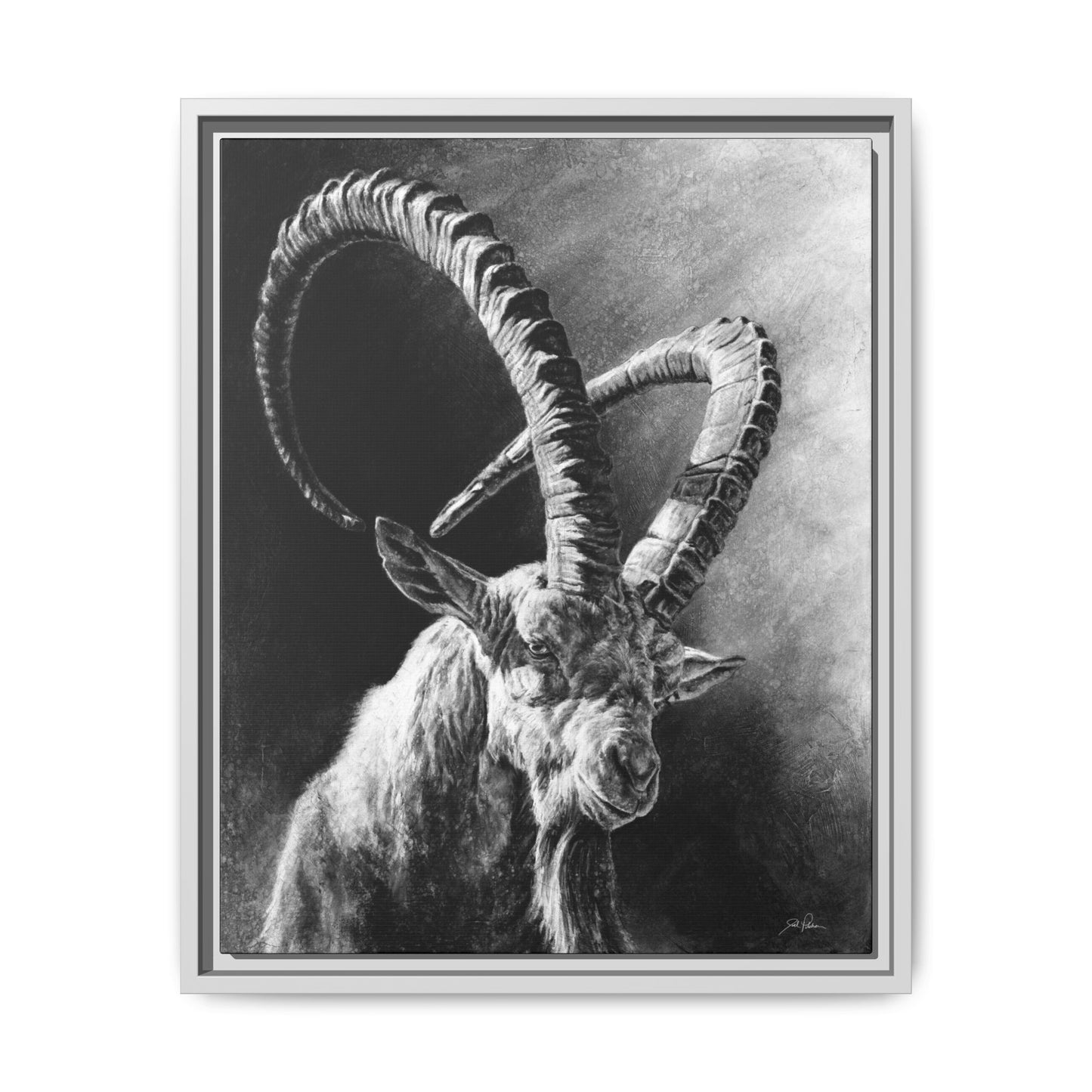 "Ibex" Framed Canvas