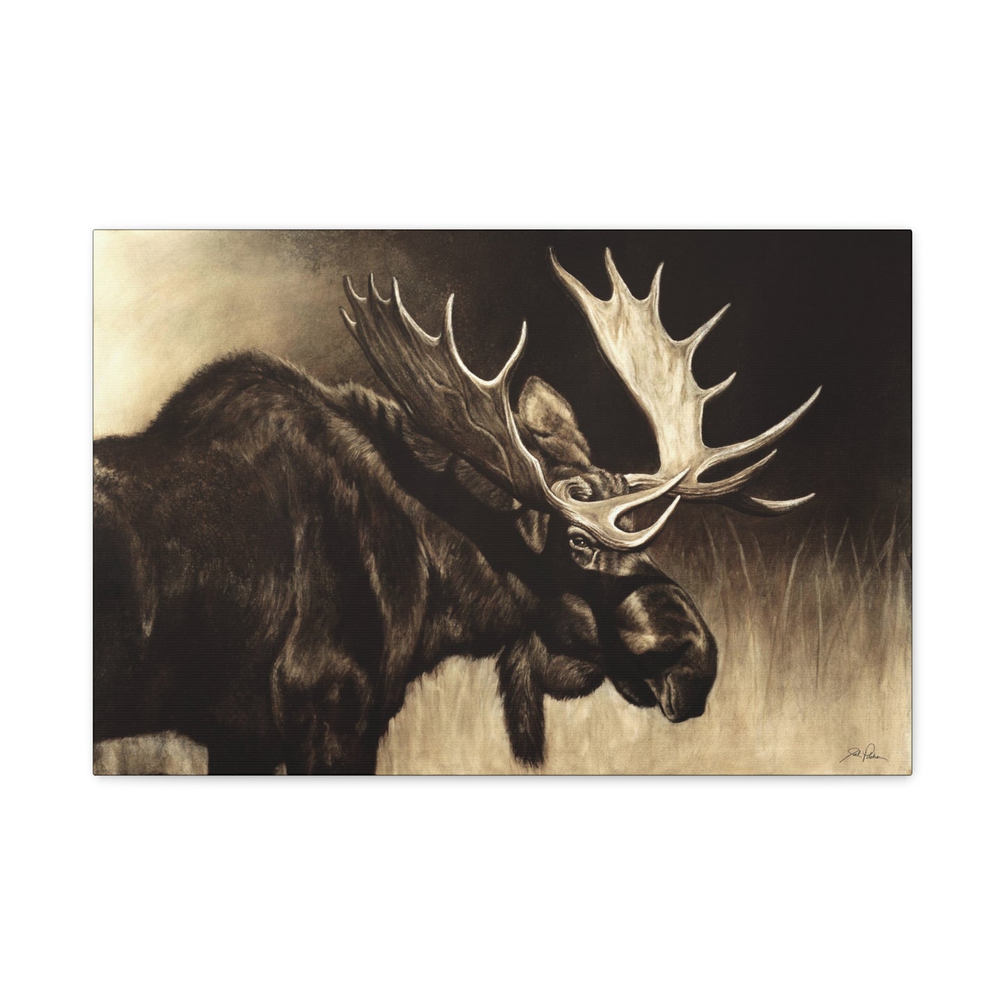 "Mighty Moose" Stretched Canvas