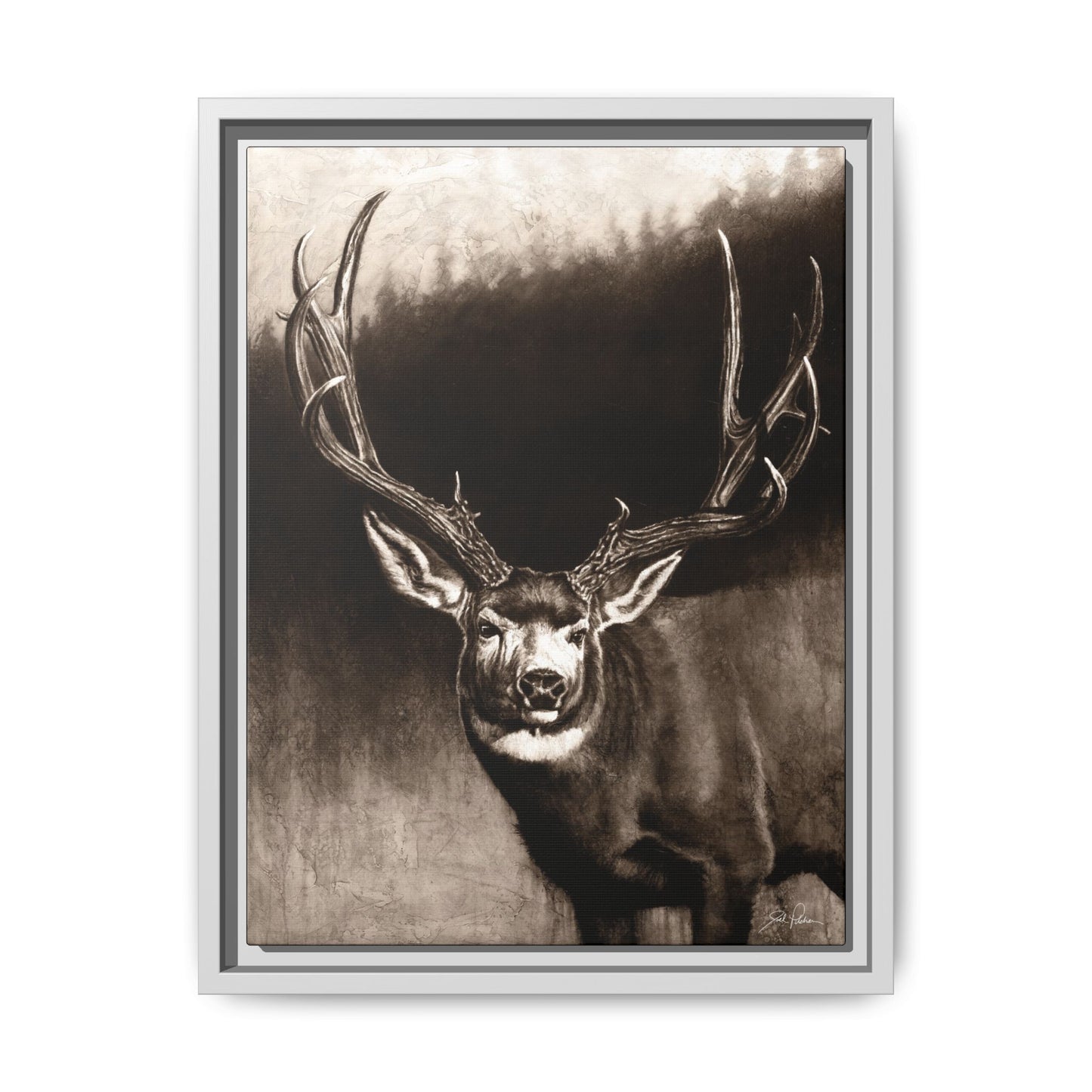 "Muley" Framed Canvas