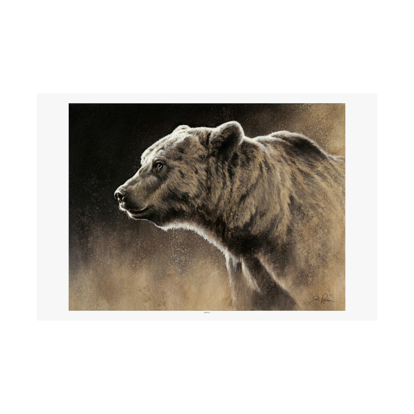 "Grizzly" Premium Matte Paper Print