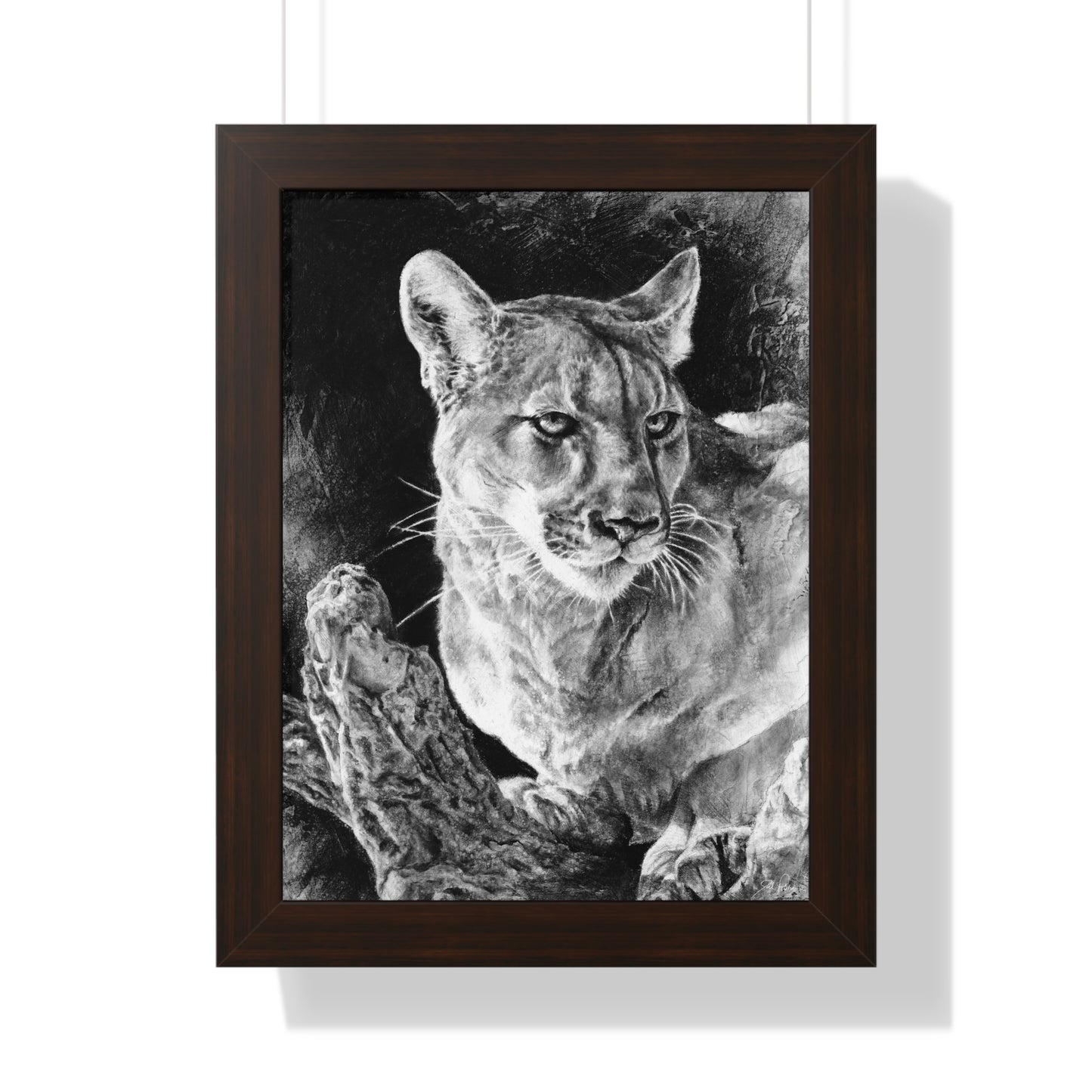 "Mountain Lion" Framed Paper Print