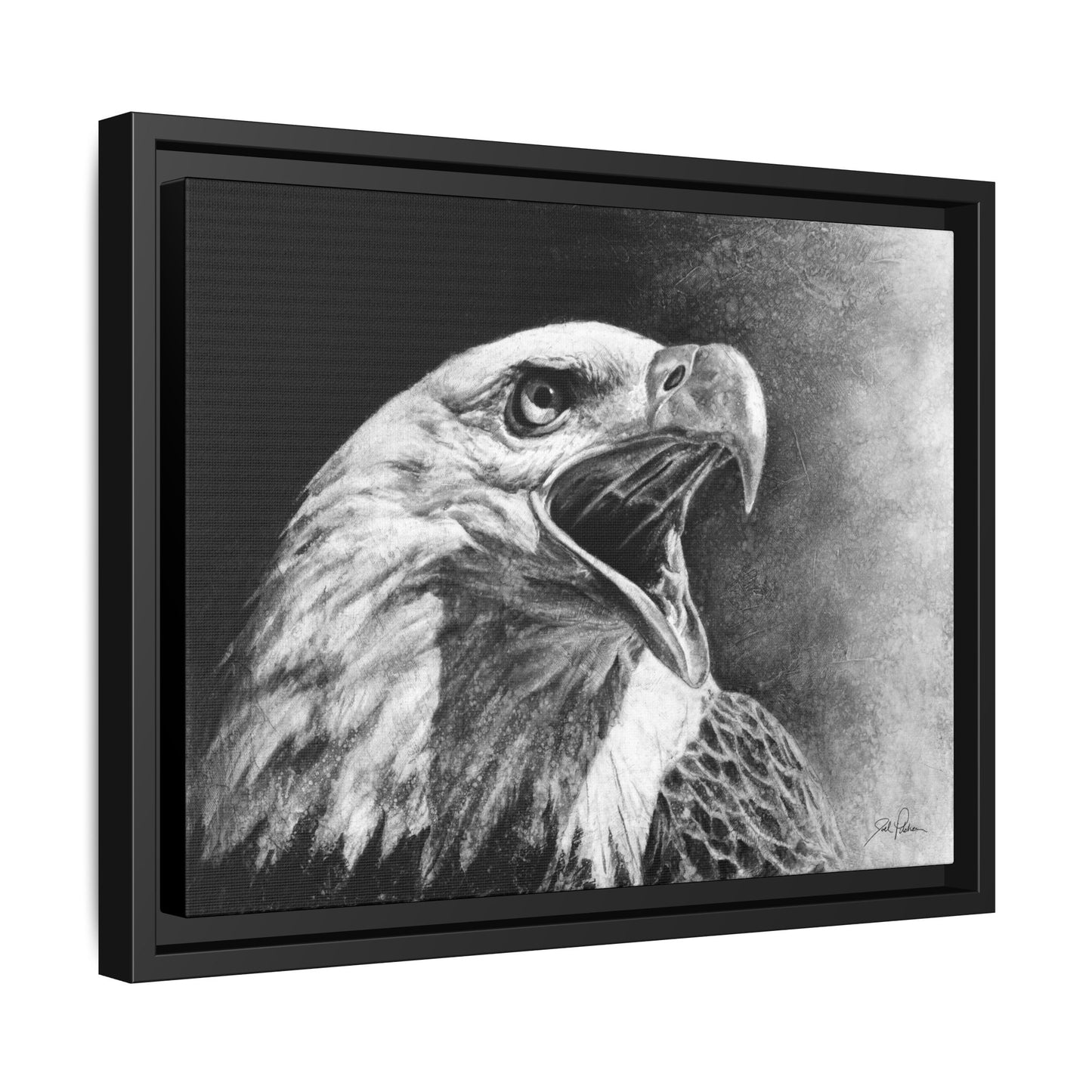 "Bald Eagle" Framed Canvas