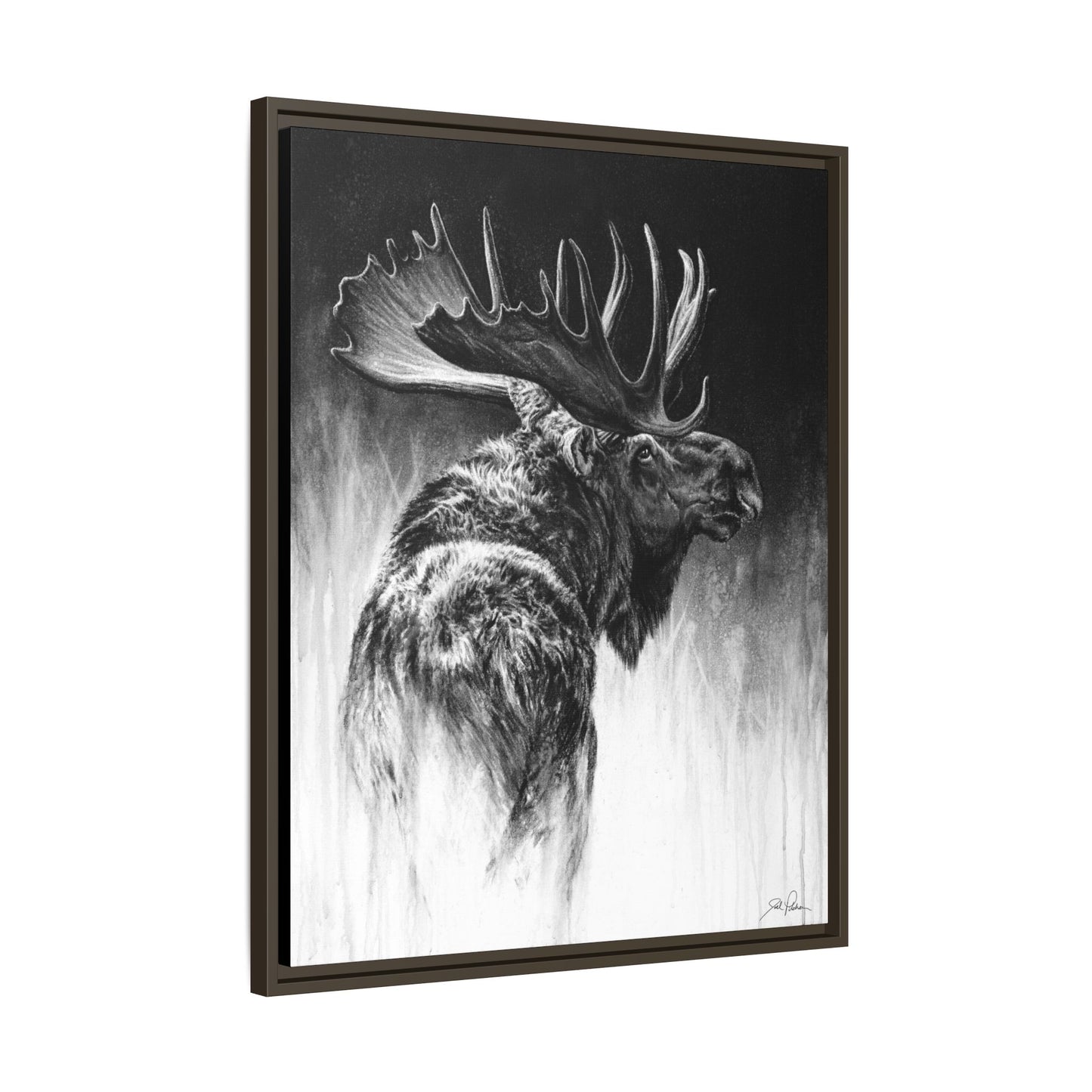 "Bull Moose" Framed Canvas