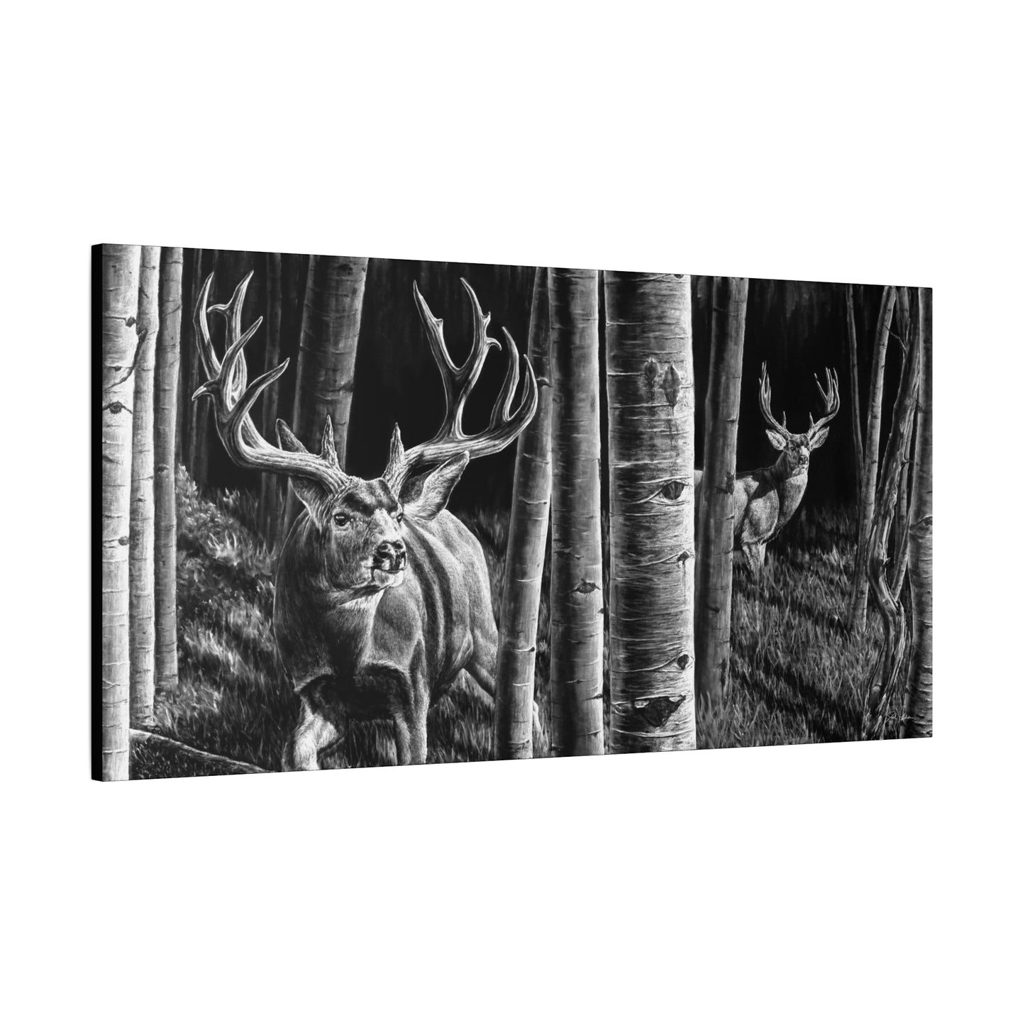 "Out of the Shadows" Stretched Canvas