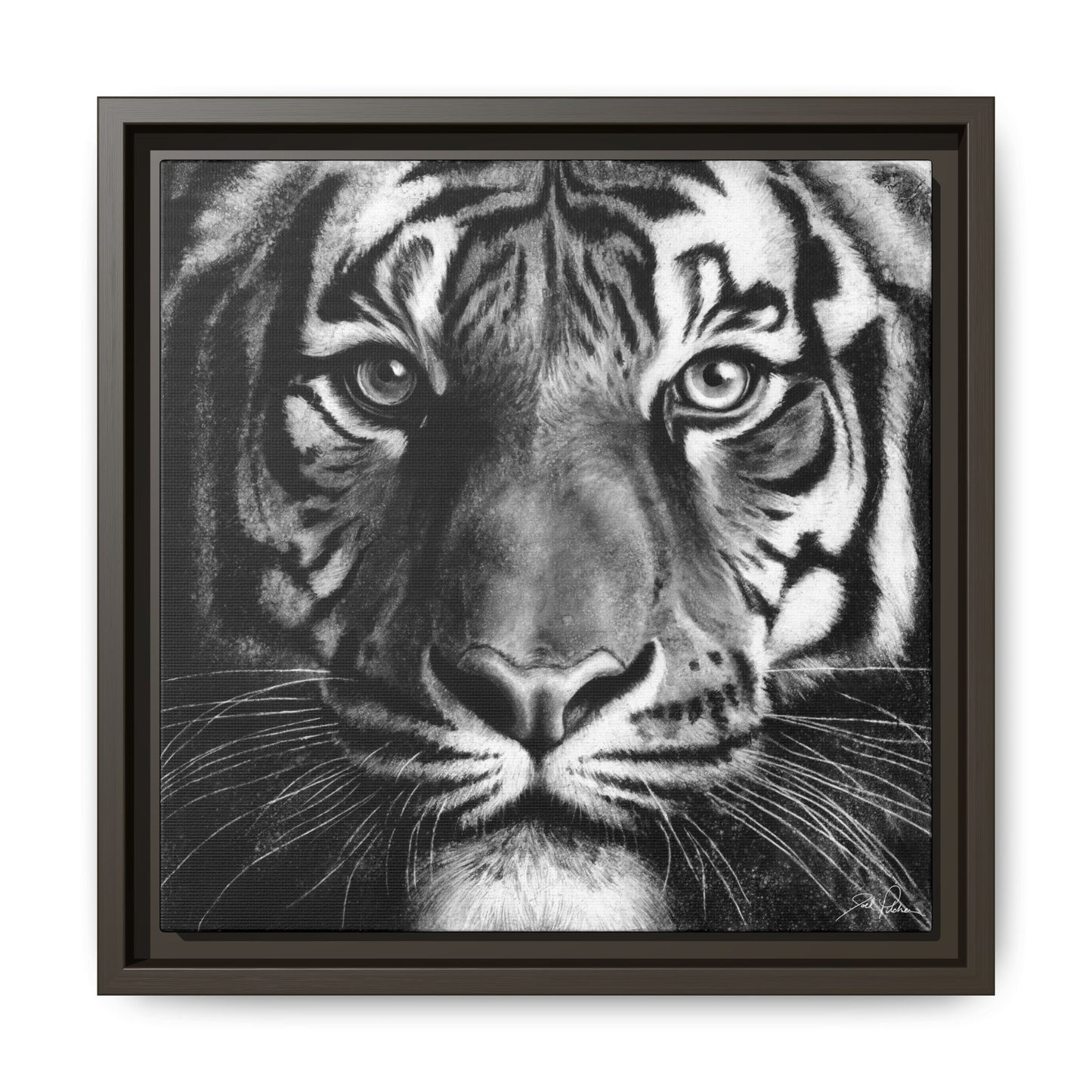 "Tiger" Framed Canvas