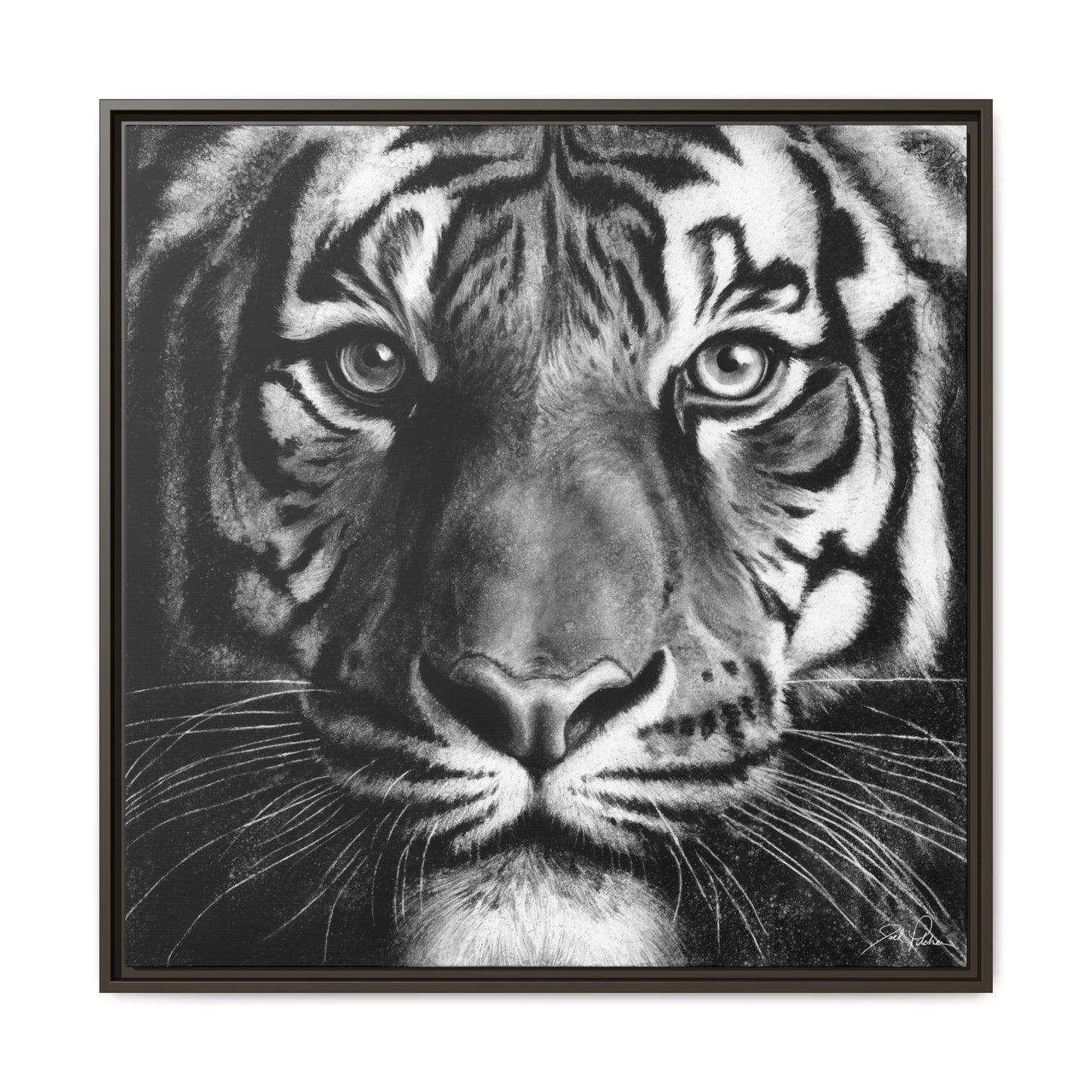 "Tiger" Framed Canvas