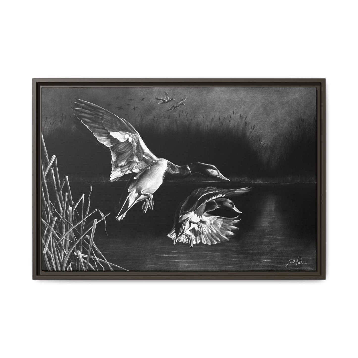 "Banded Brothers" Framed Canvas
