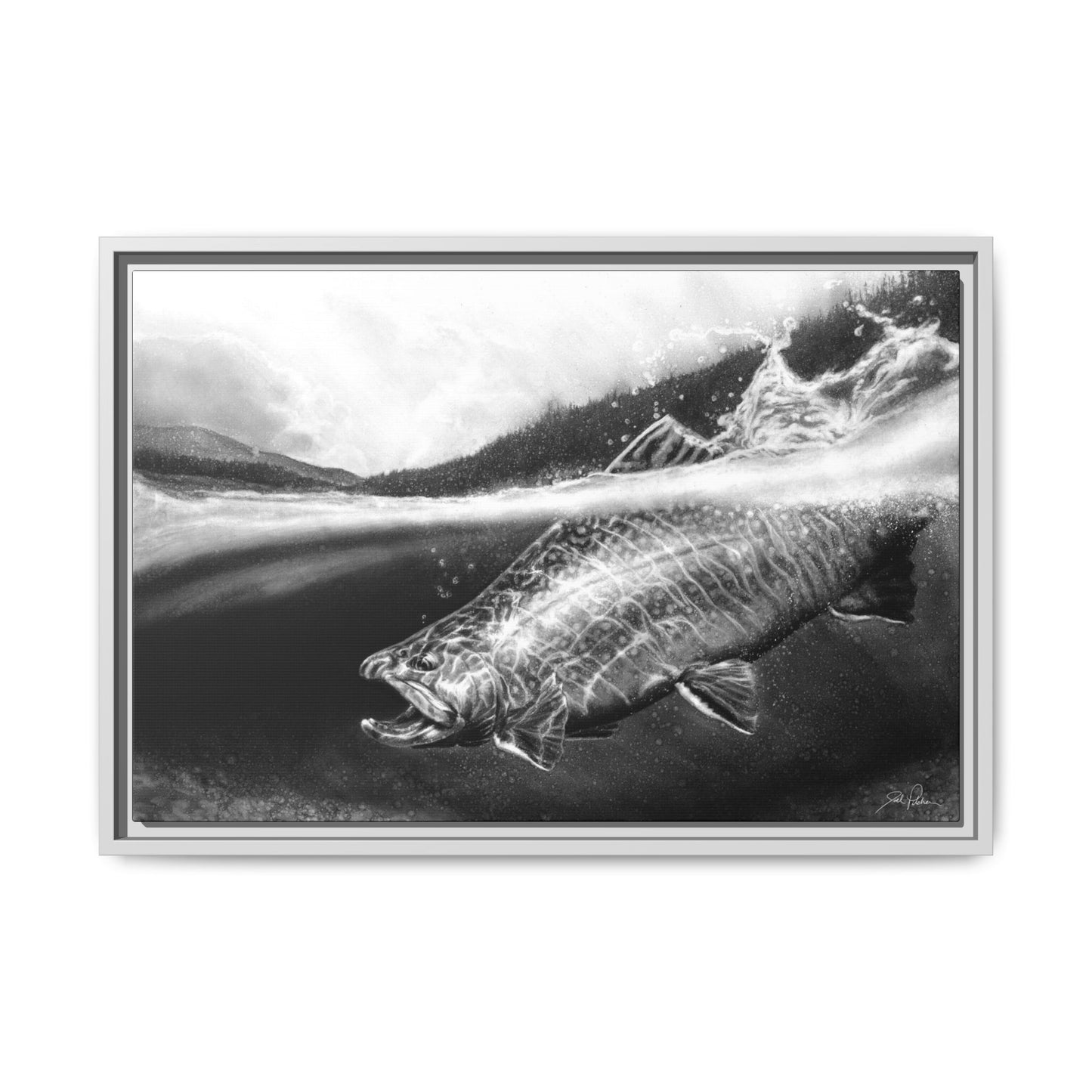 "Brook Trout" Framed Canvas