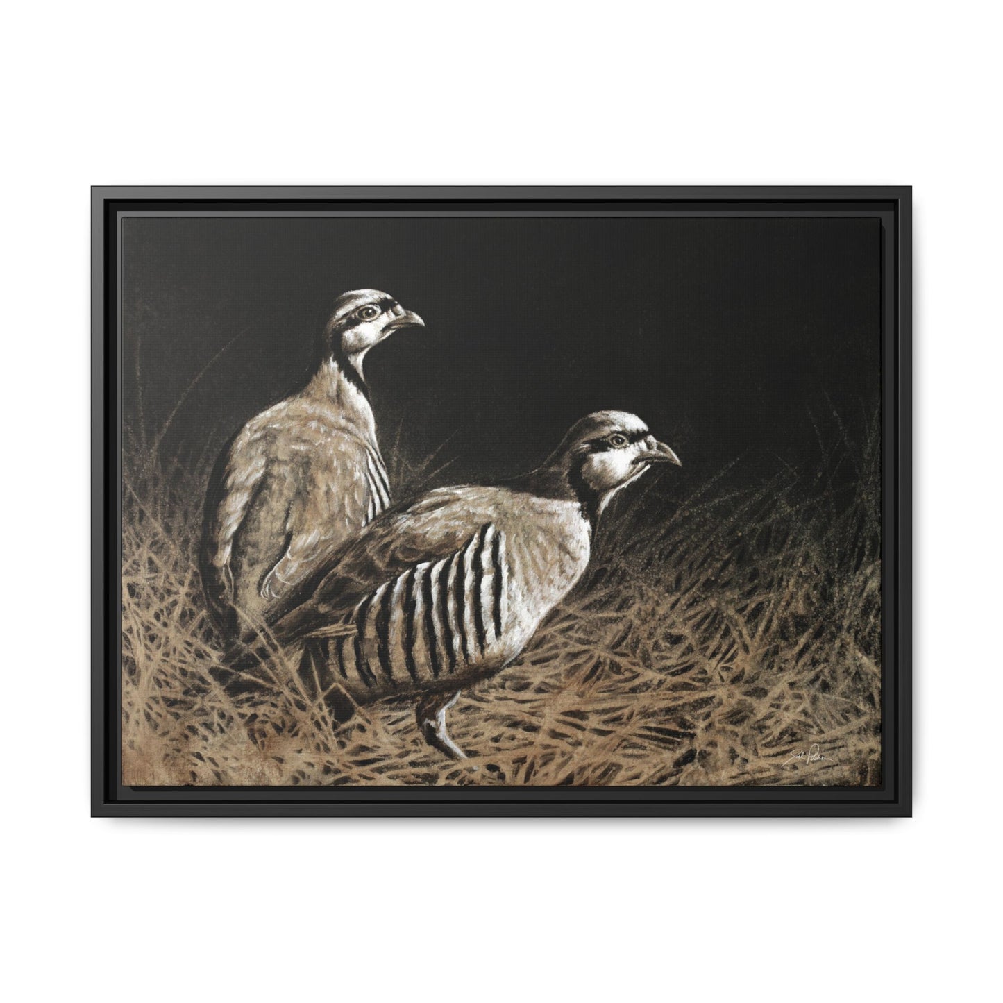 "Chukars" Framed Canvas