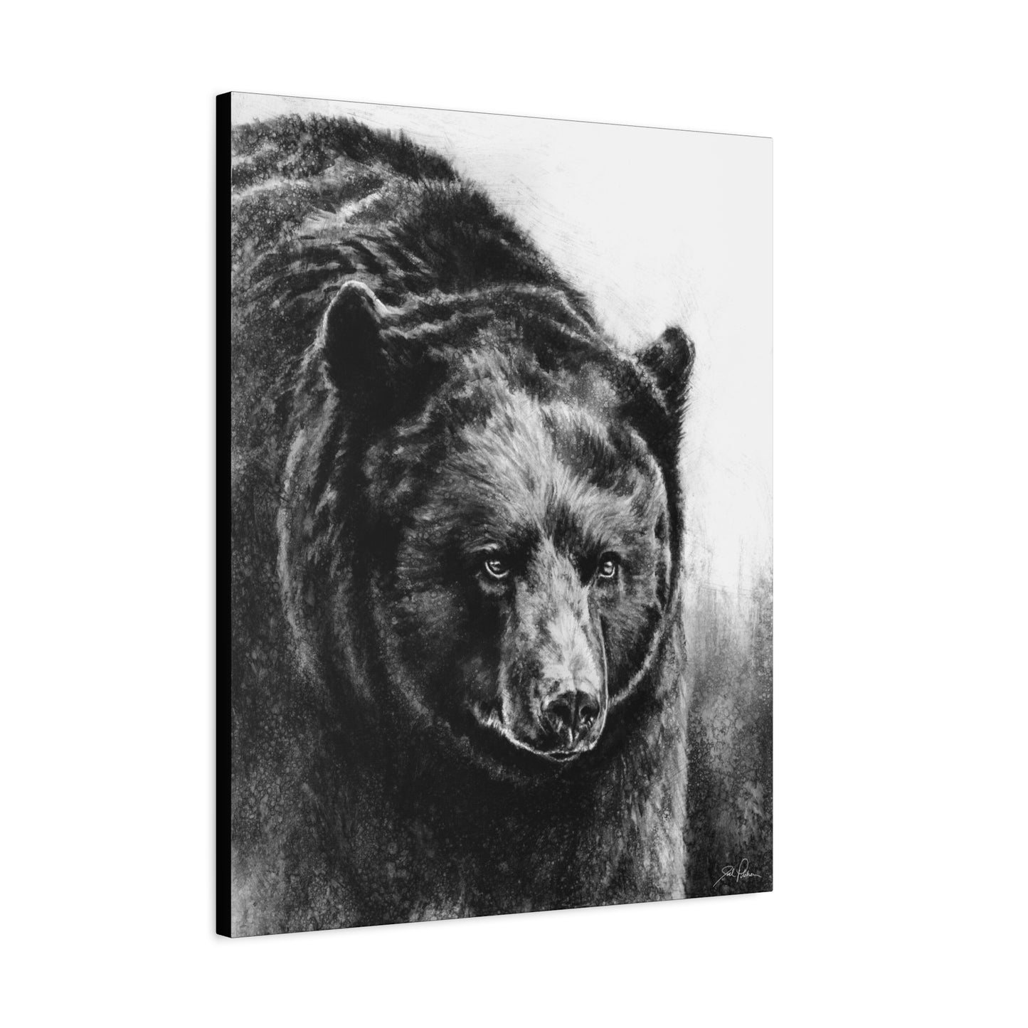 "Black Bear" Stretched Canvas