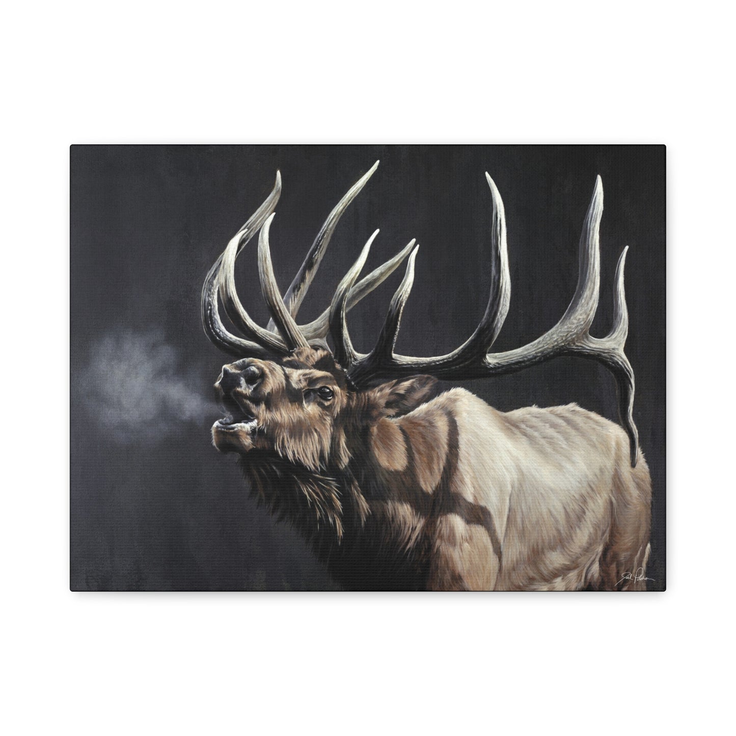 "Royal Persuasion" Stretched Canvas