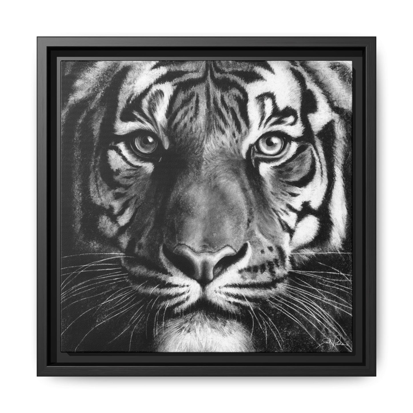 "Tiger" Framed Canvas