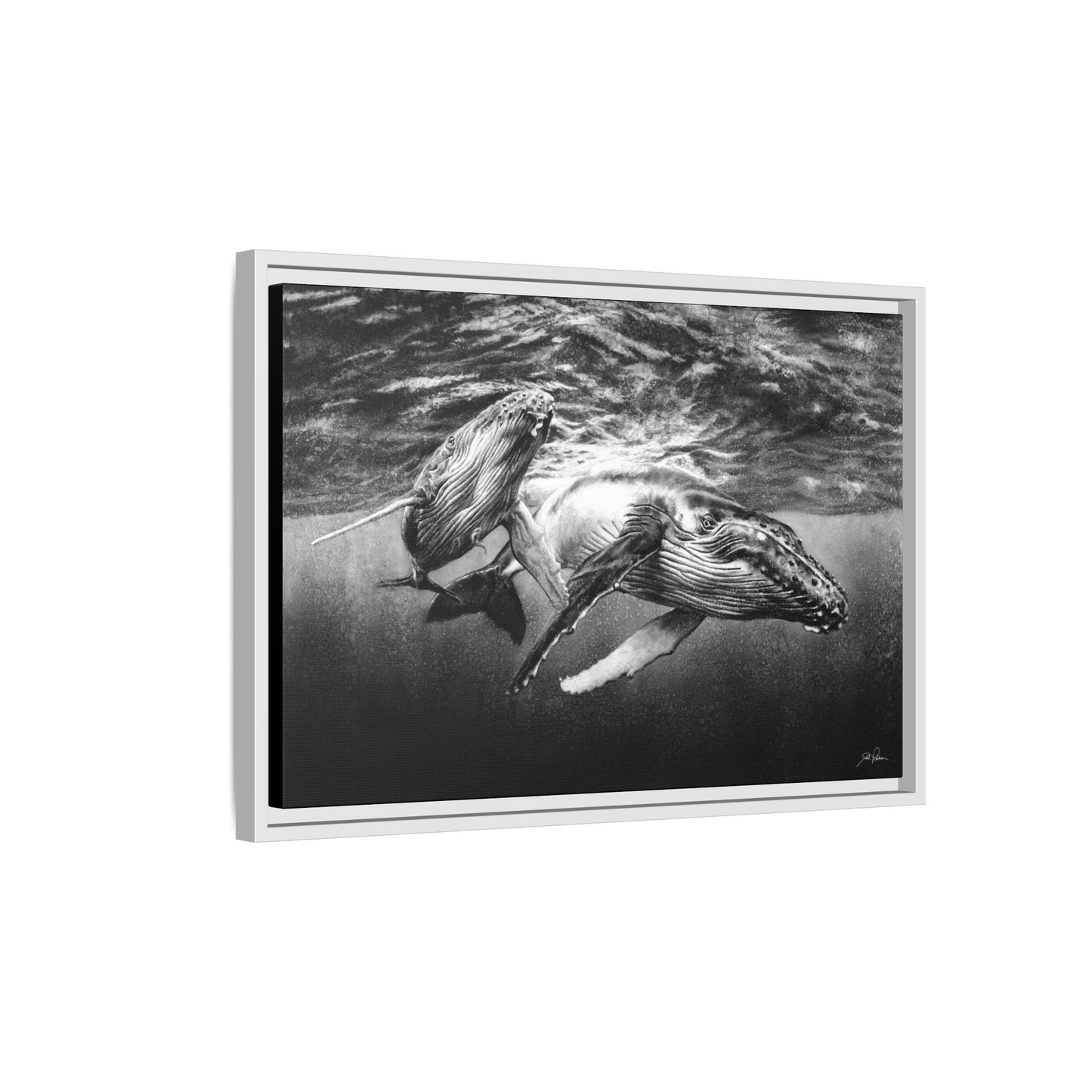 "Humpback Whales" Framed Canvas