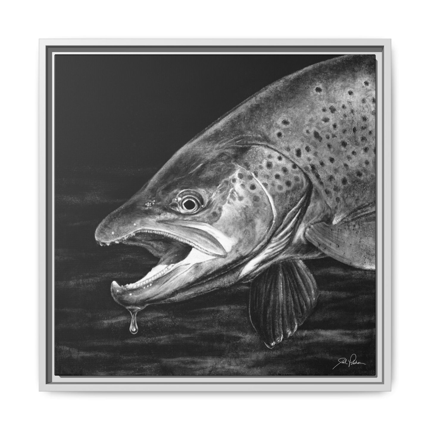 "Brown Trout" Framed Canvas