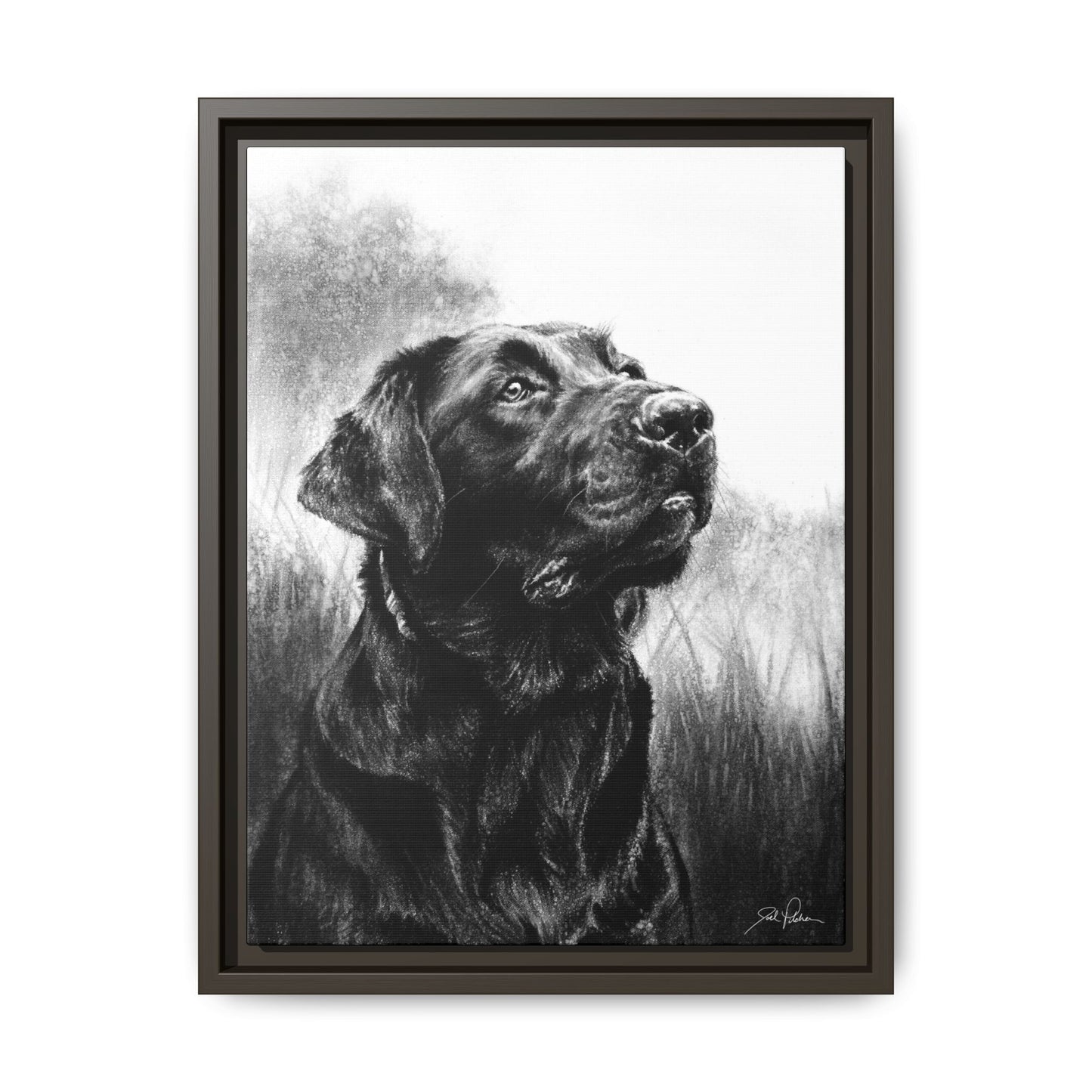 "Labrador Retriever" Framed Canvas