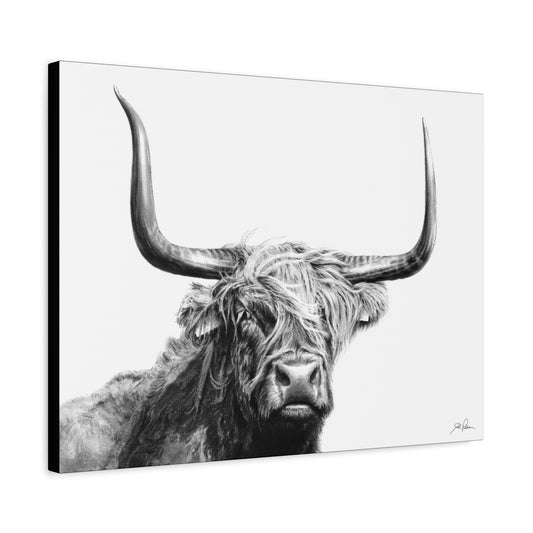 "Highlander" Stretched Canvas