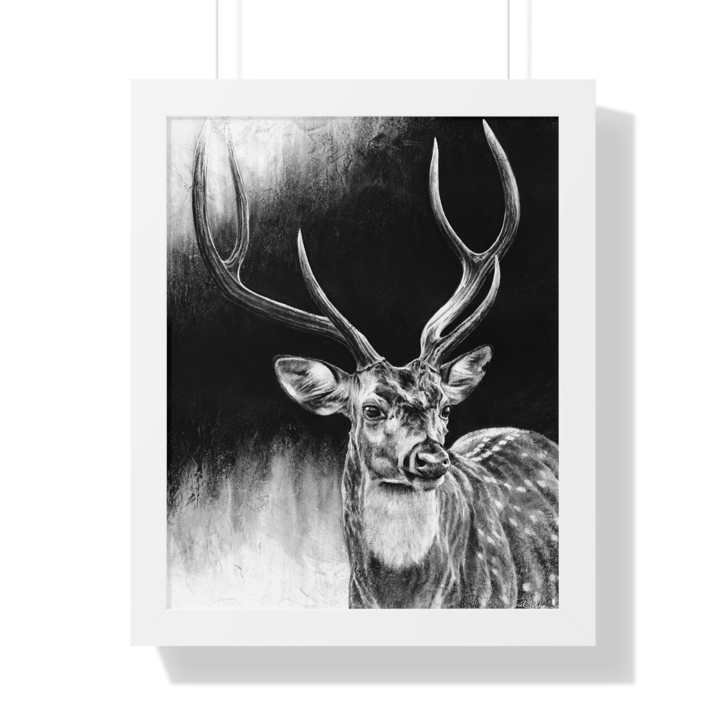 "Axis Buck" Framed Paper Print