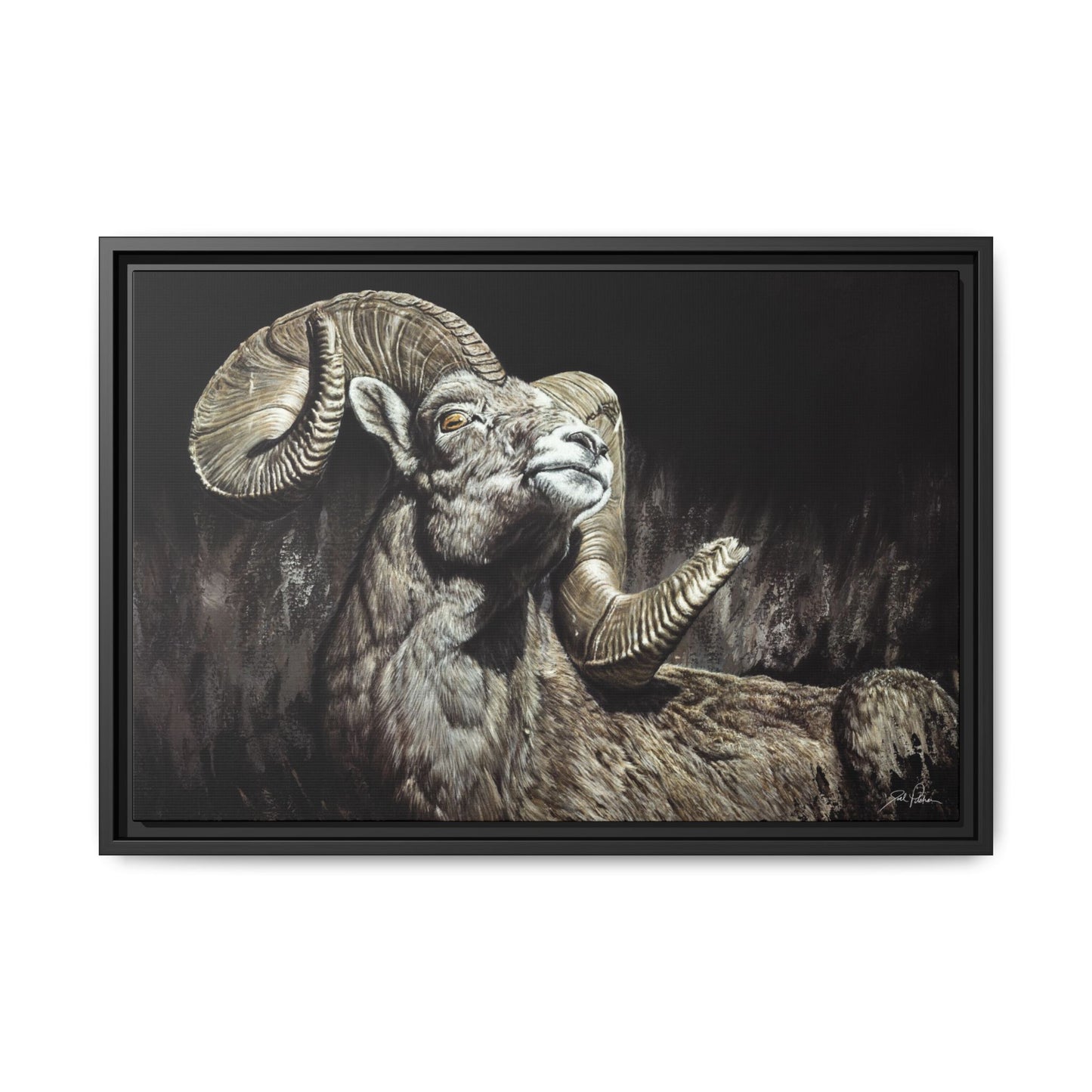 "Golden Eye" Framed Canvas
