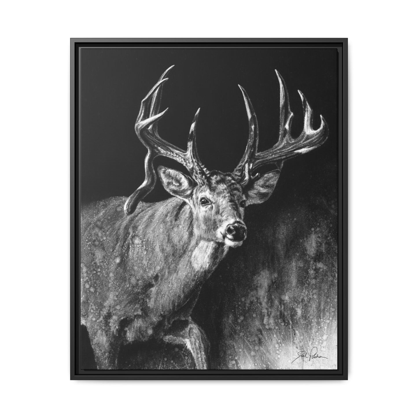 "Jaw Dropper" Framed Canvas