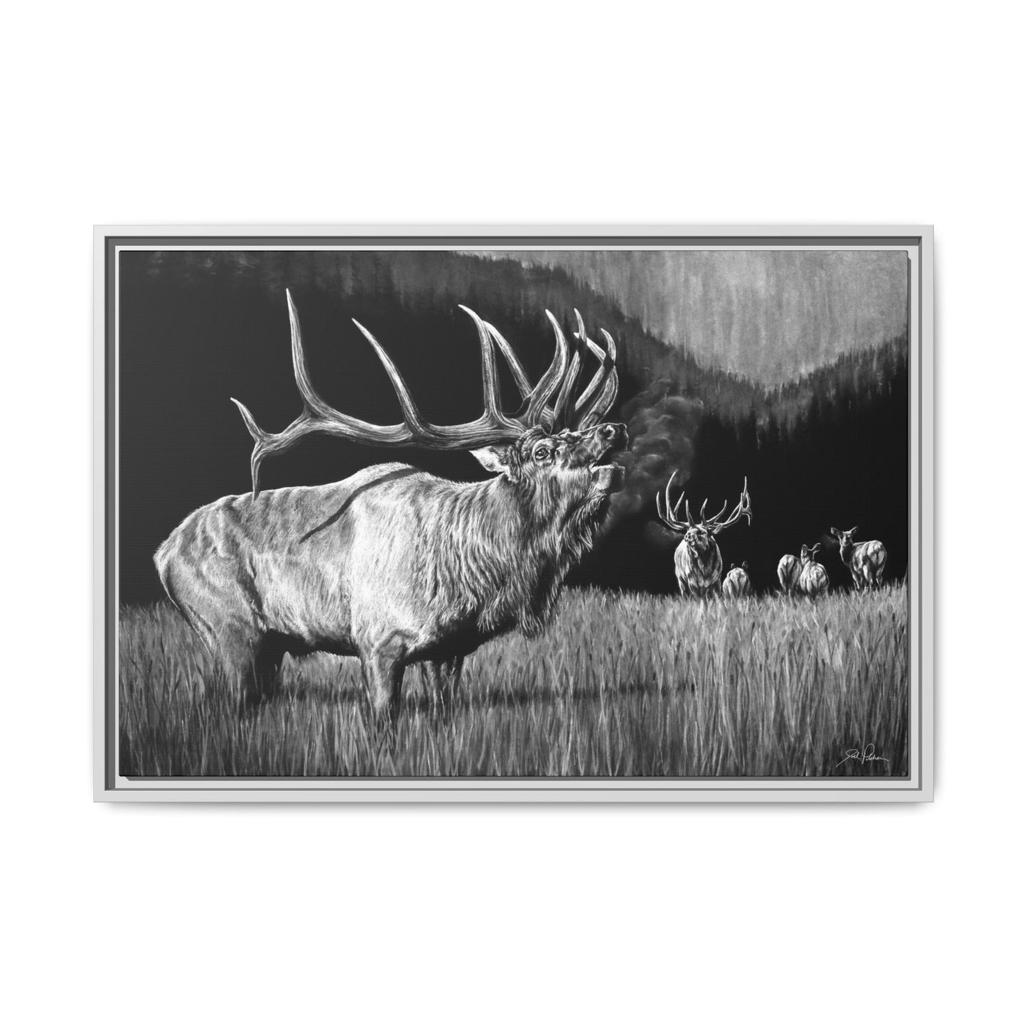 "The Contender" Framed Canvas