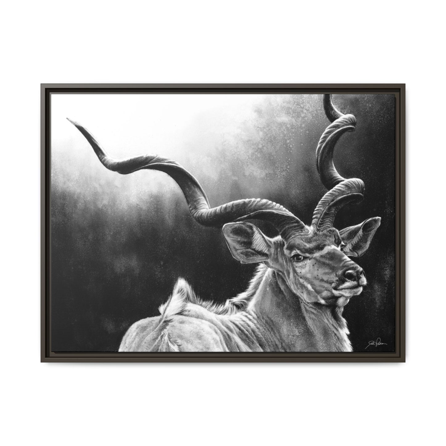"Kudu" Framed Canvas