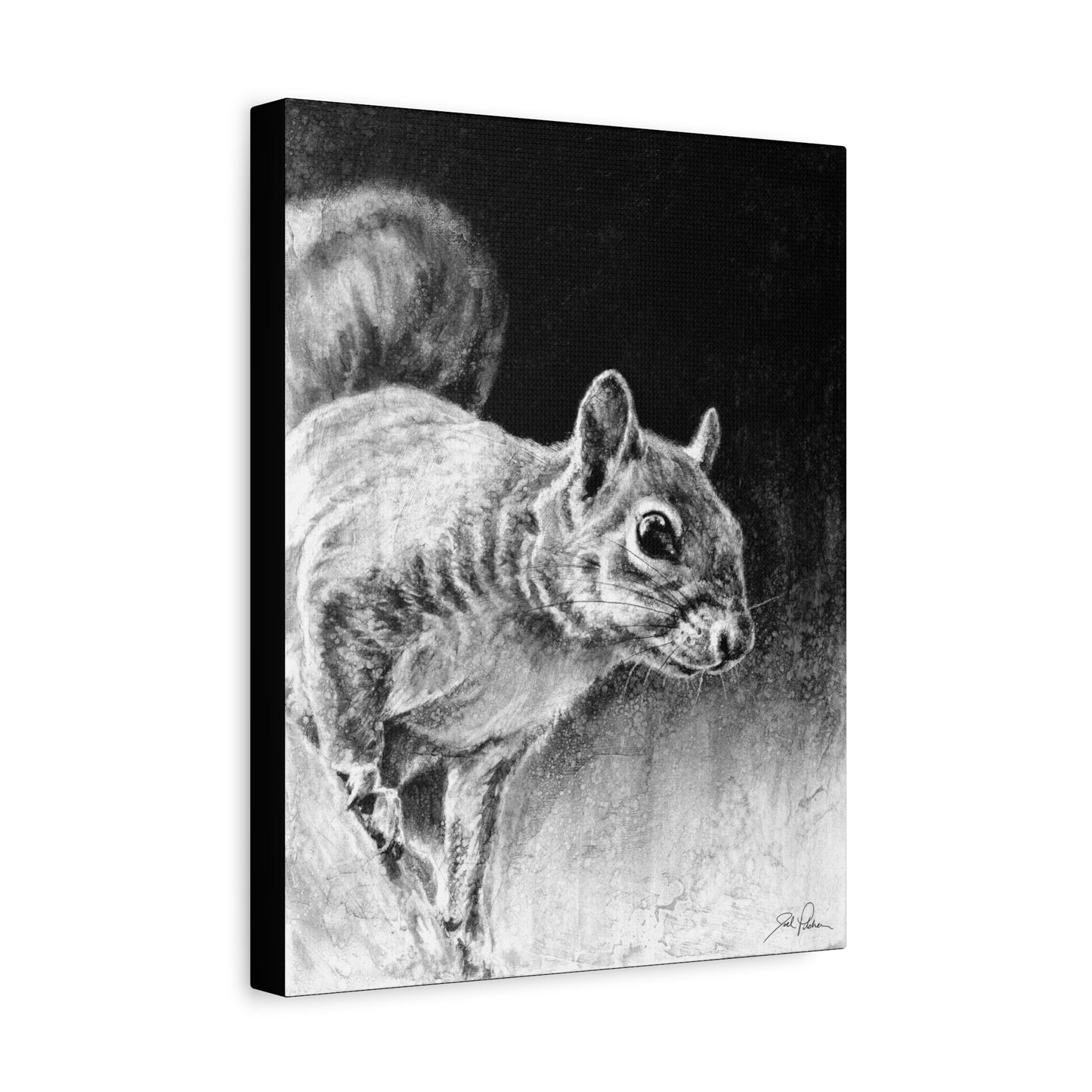 "Squirrel" Stretched Canvas