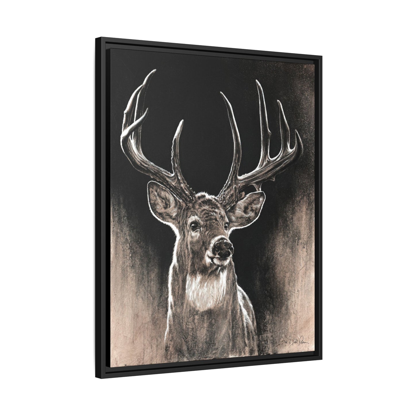 "Backlit Buck" Framed Canvas