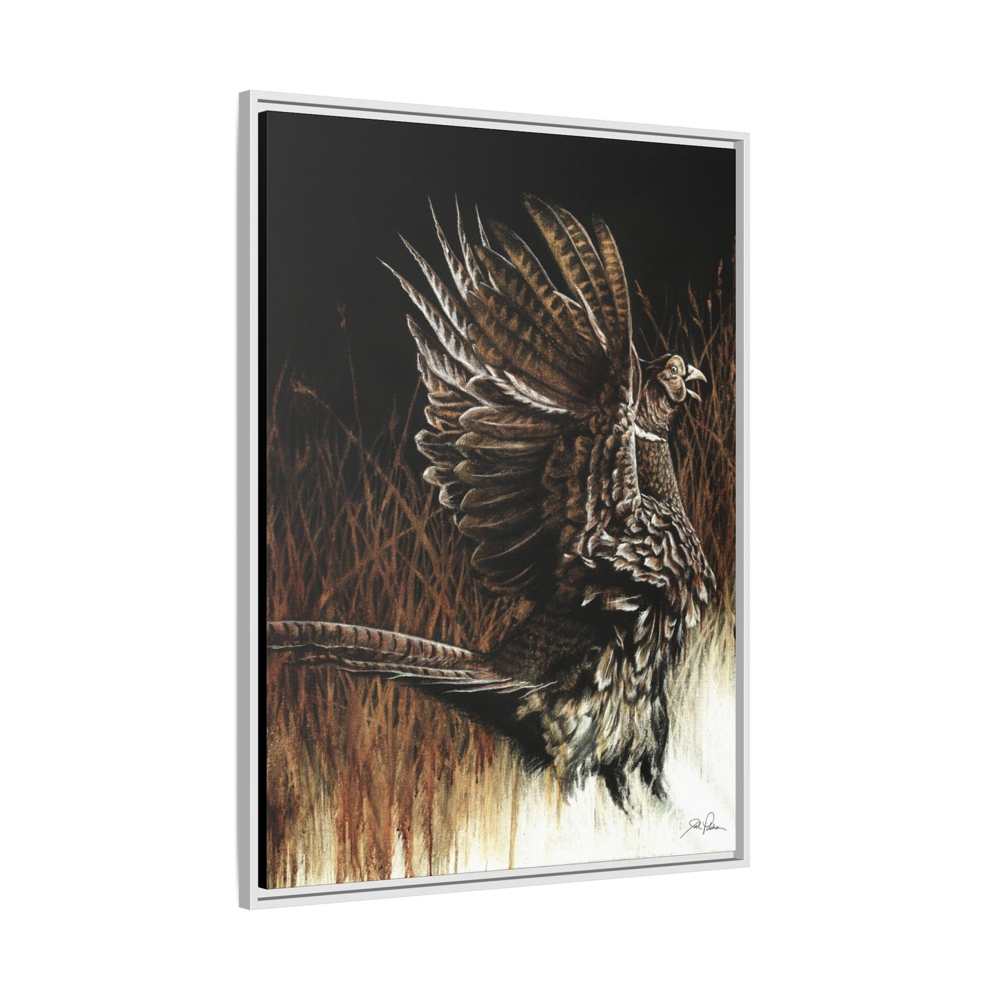 "Call of the Upland Pheasant" Framed Canvas