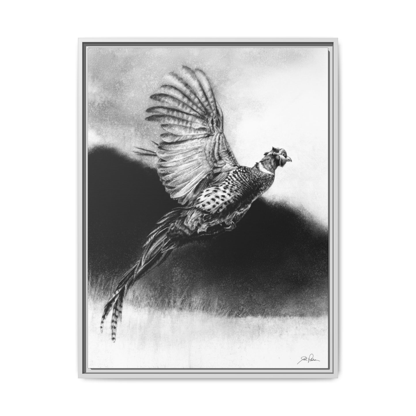 "Flushed" Framed Canvas
