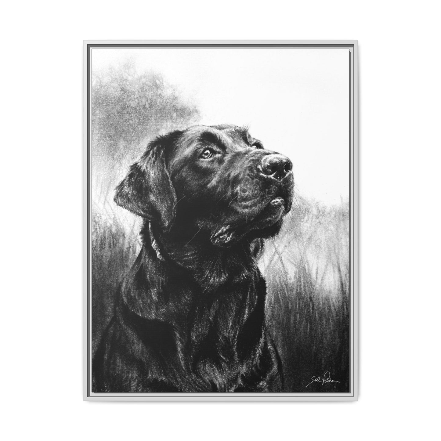 "Labrador Retriever" Framed Canvas