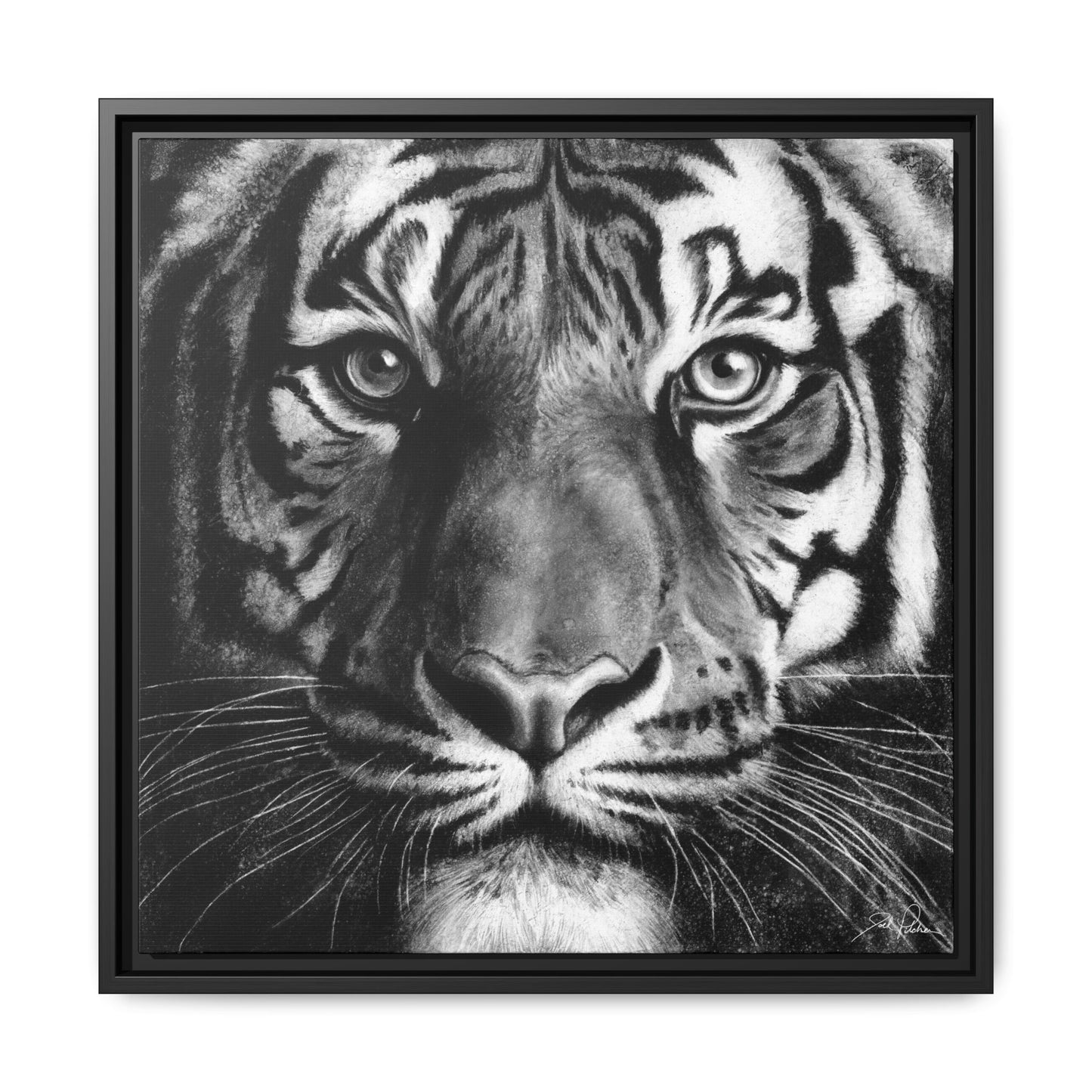 "Tiger" Framed Canvas