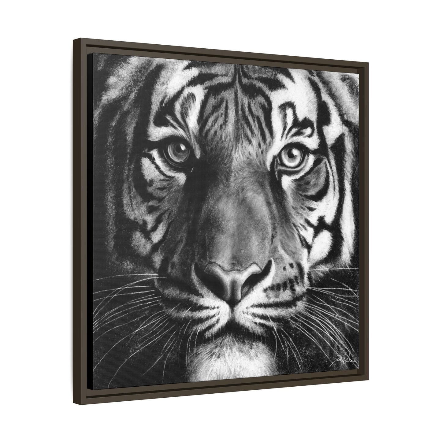 "Tiger" Framed Canvas