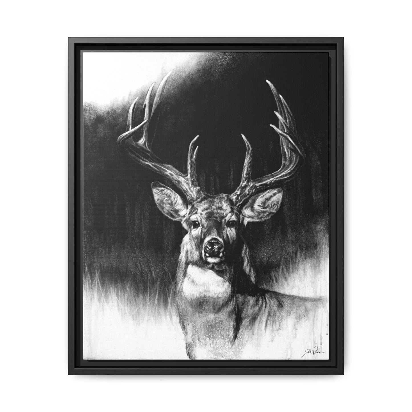 "Whitetail" Framed Canvas