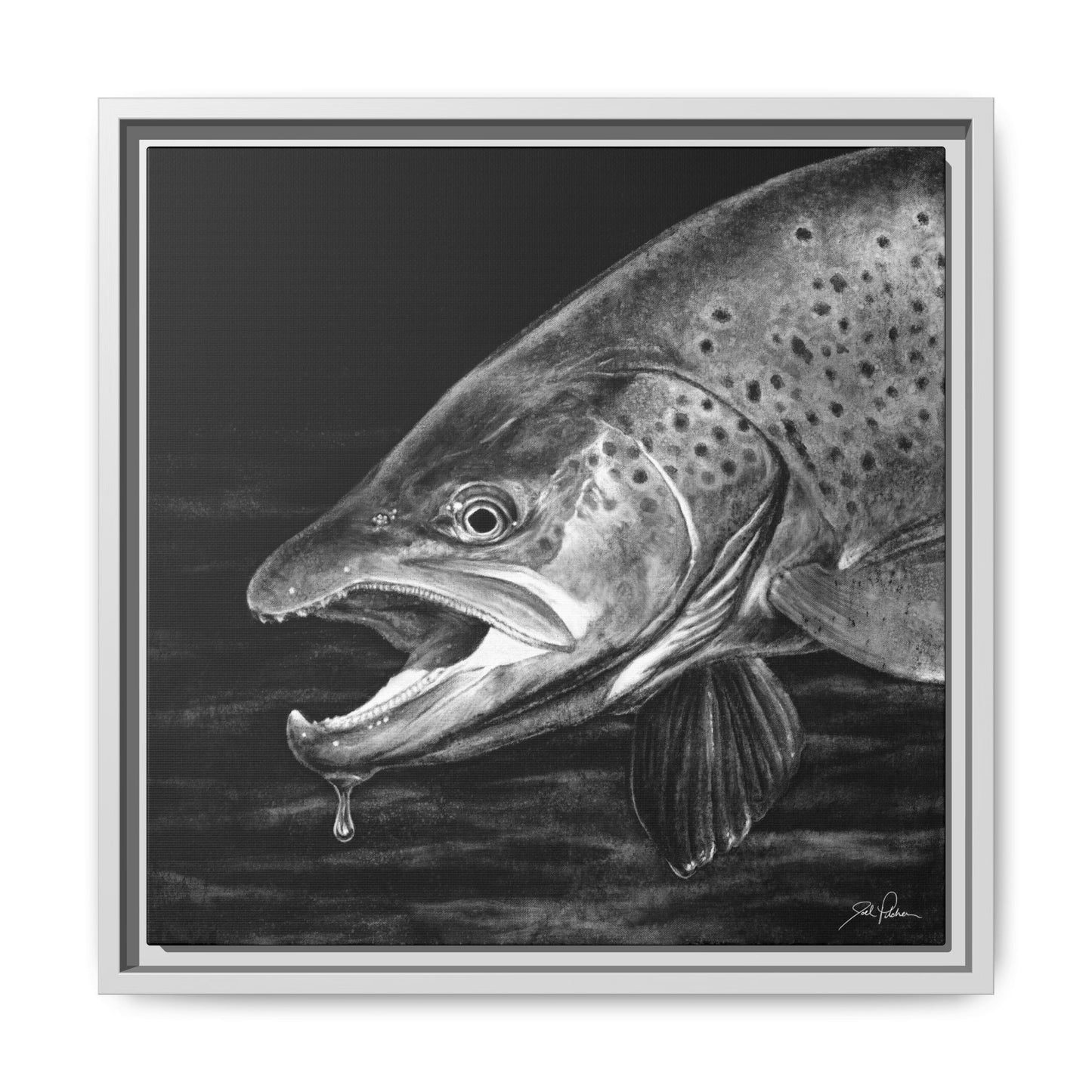 "Brown Trout" Framed Canvas