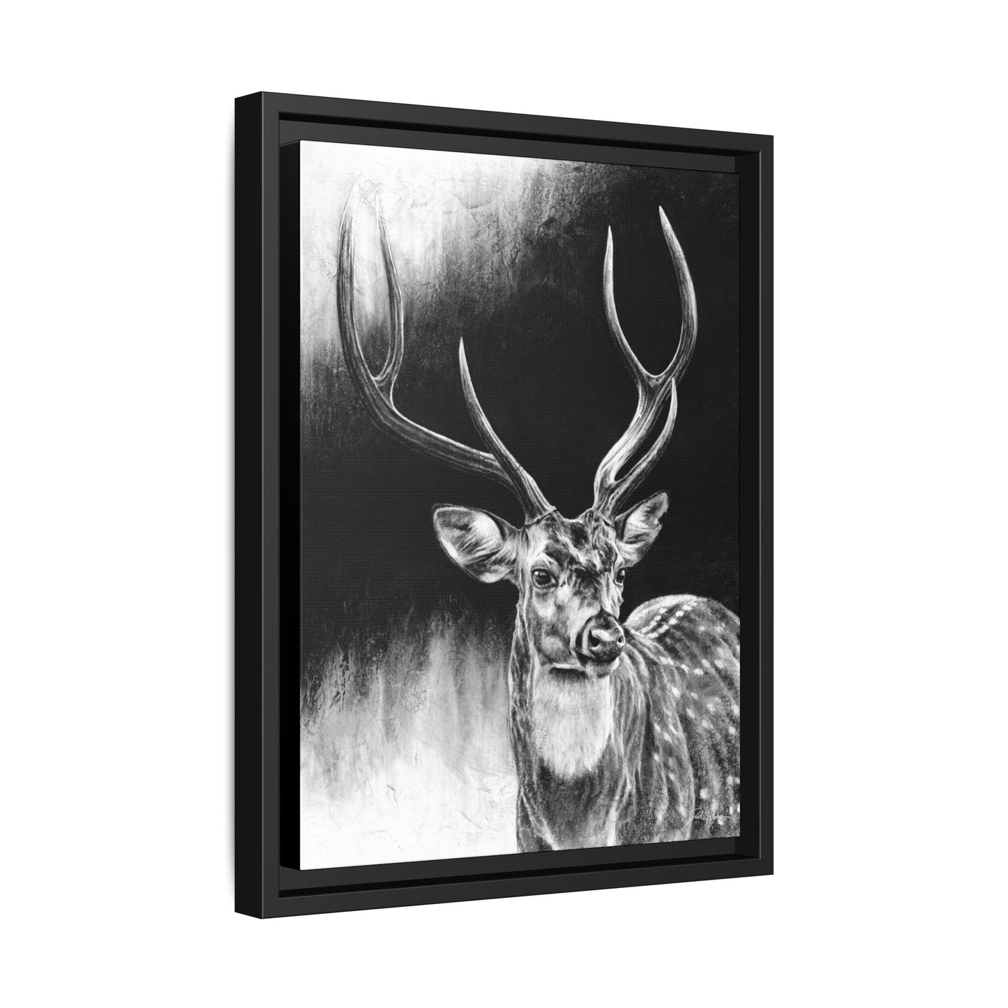 "Axis Buck" Framed Canvas